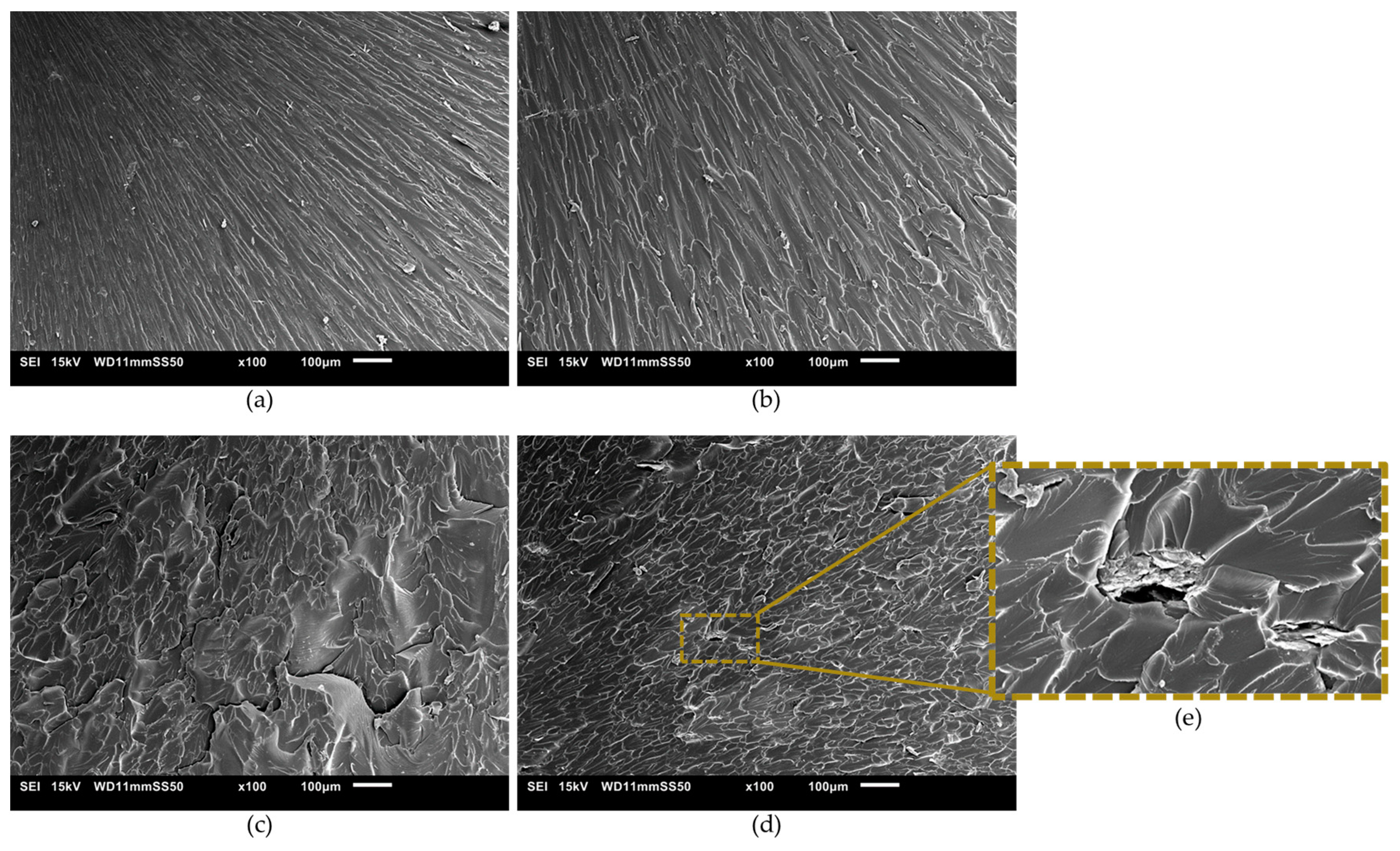 Polymers 16 01261 g008