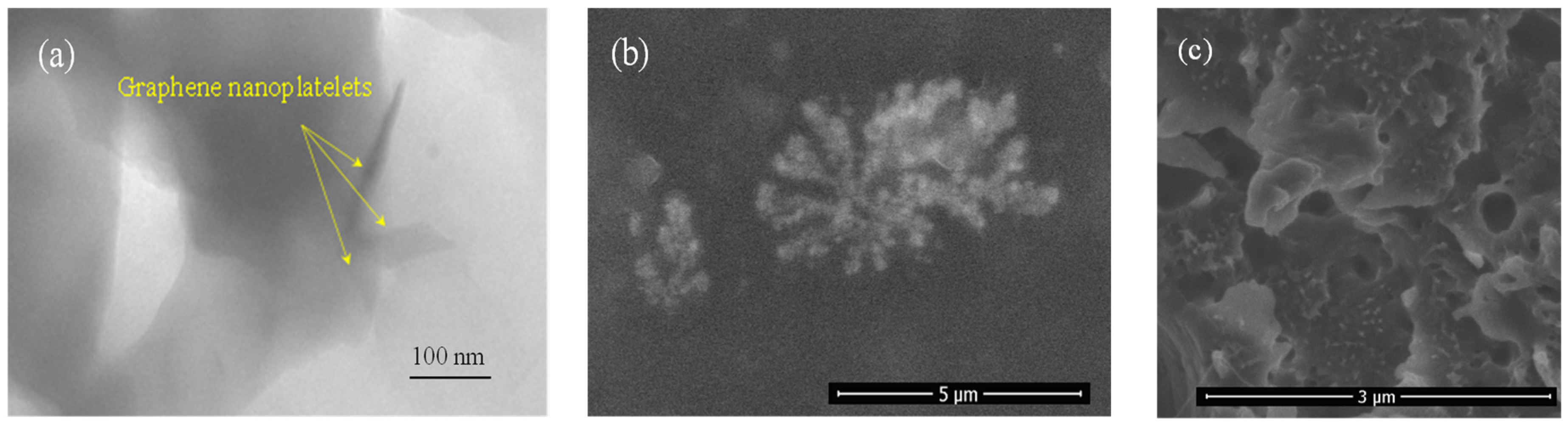 Polymers 16 01273 g002
