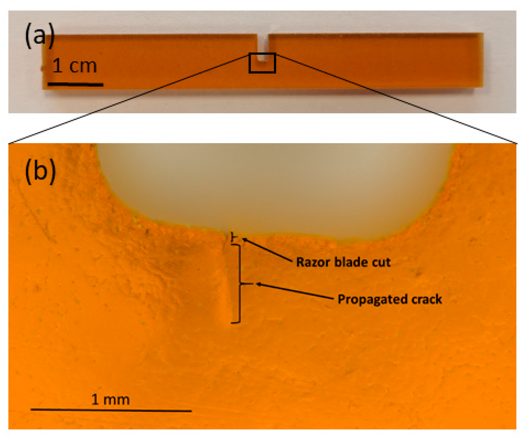 Polymers 16 01287 g001