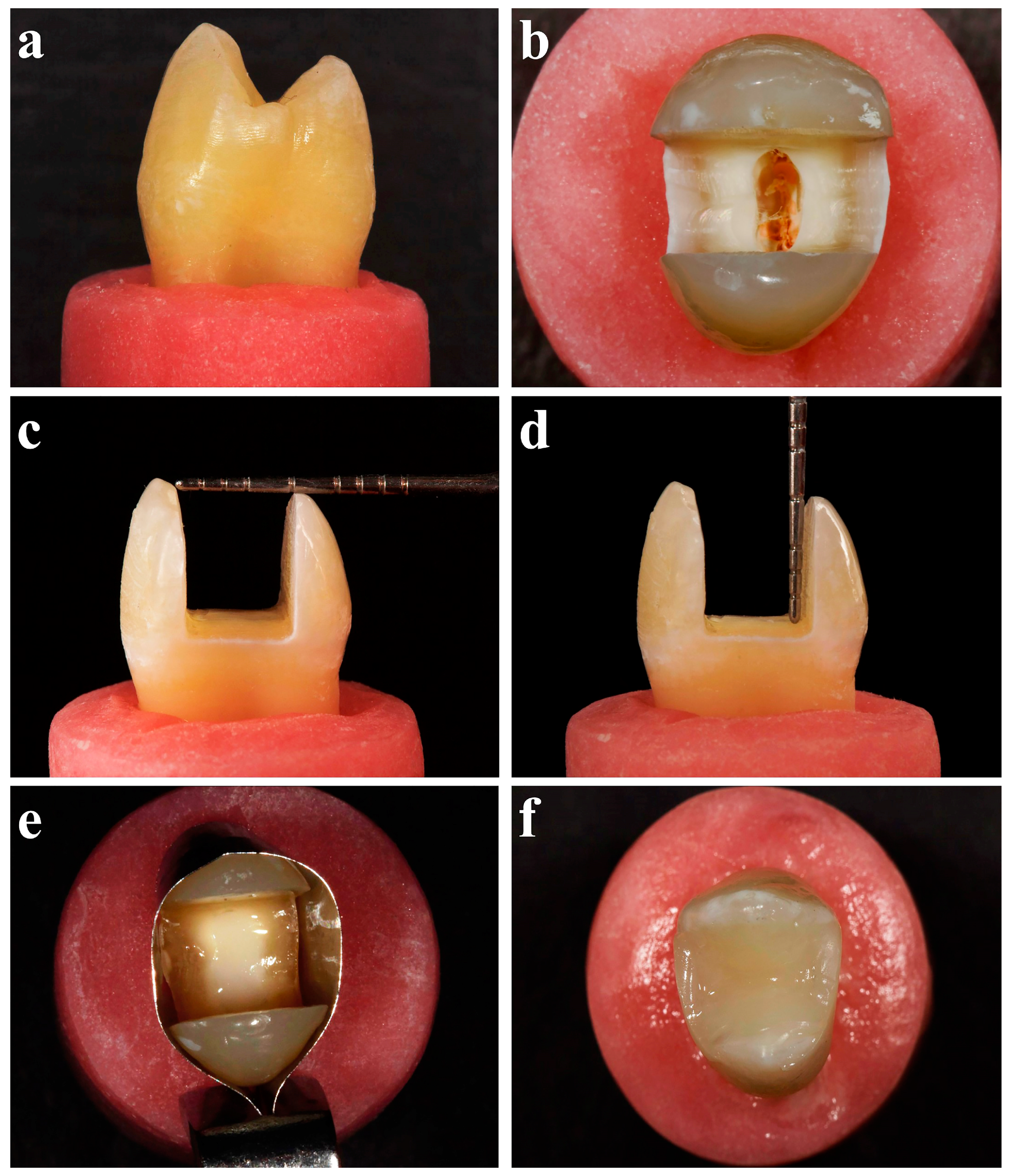 Polymers 16 01289 g001
