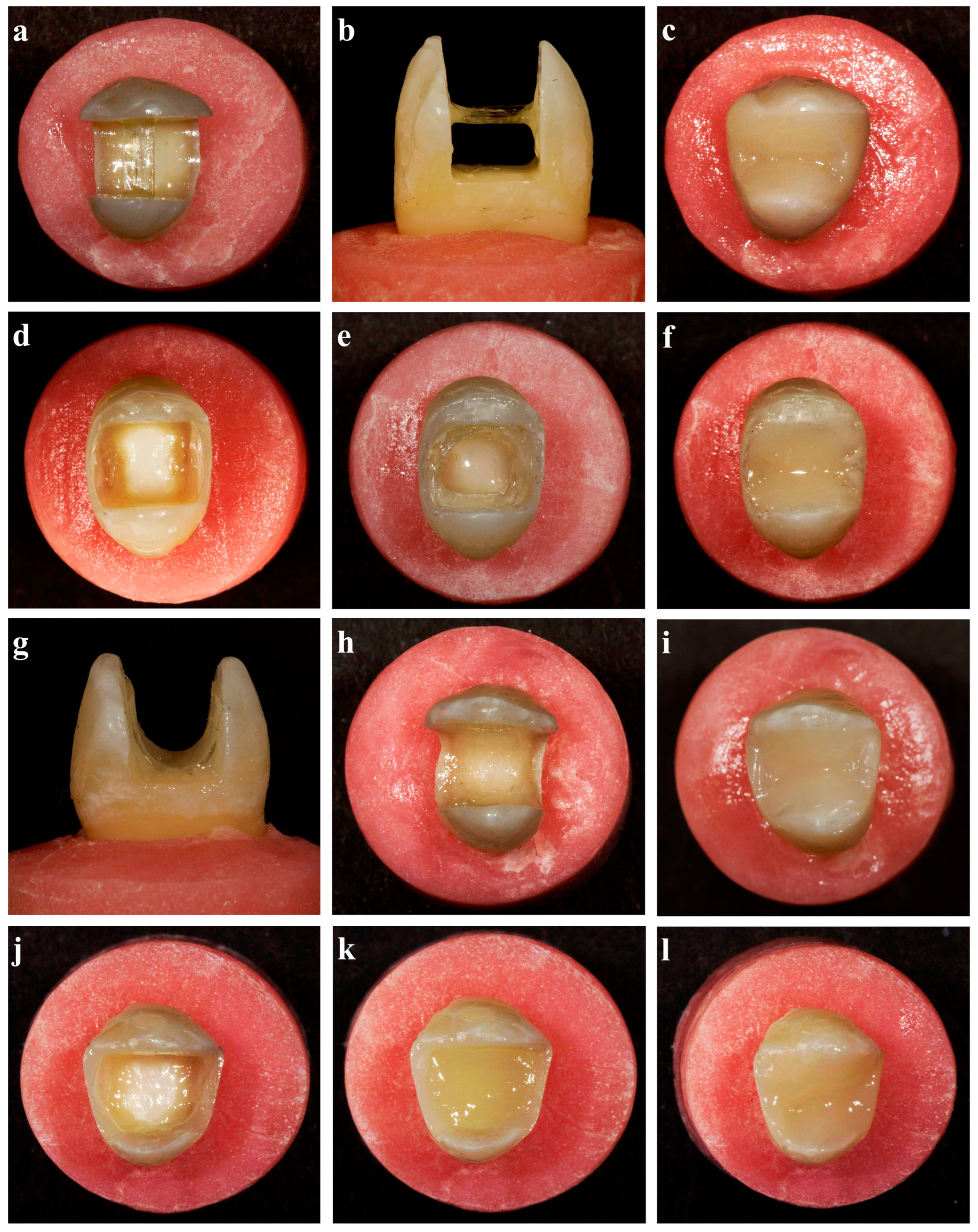 Polymers 16 01289 g002