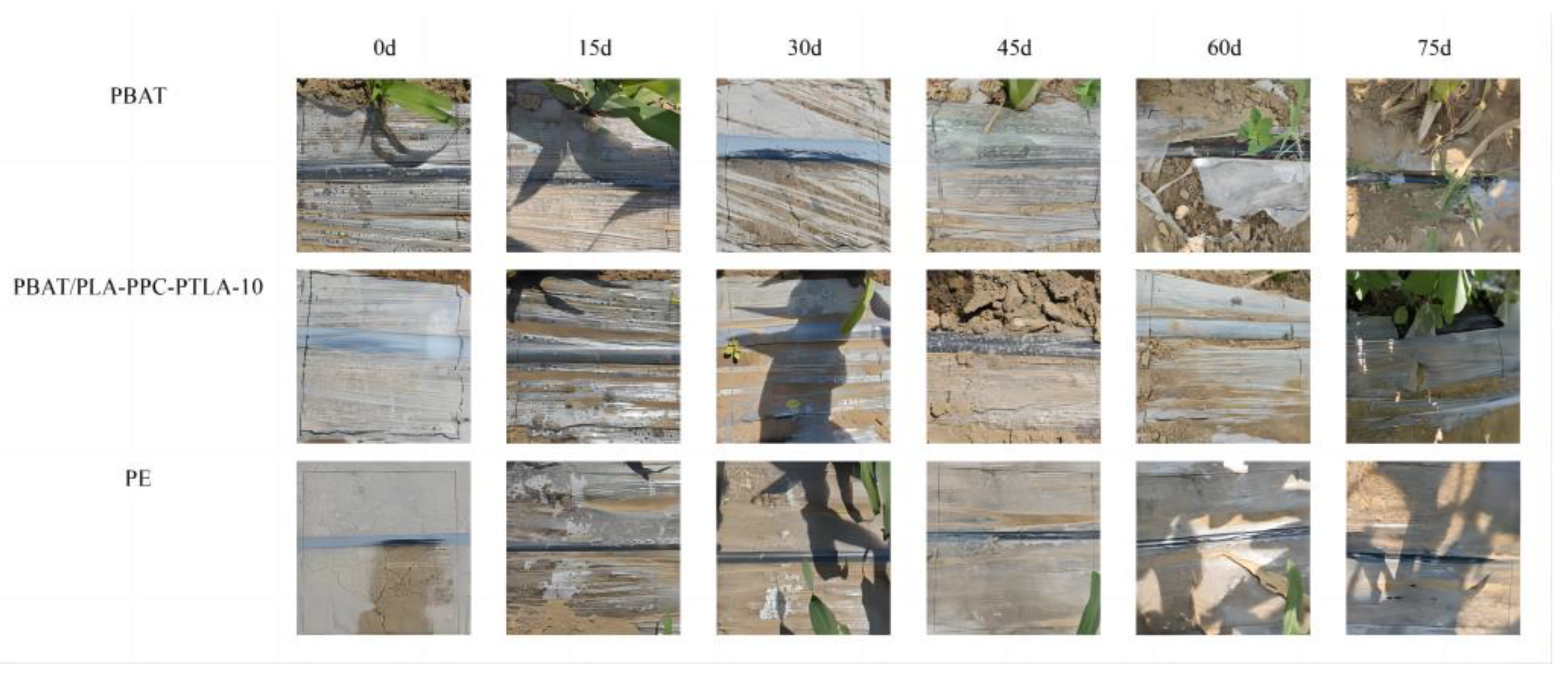 Polymers 16 01295 g011