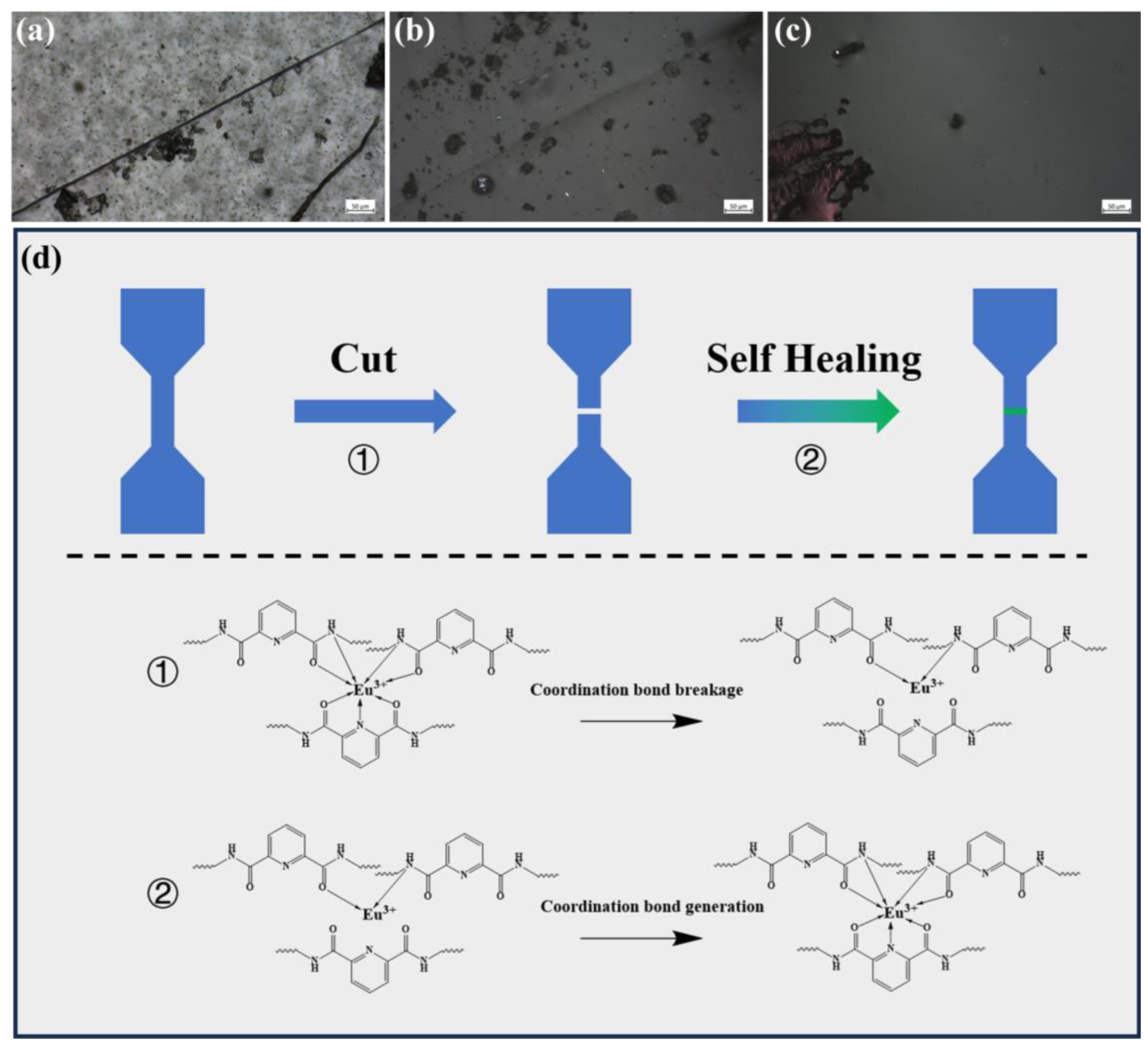 Polymers 16 01309 g009