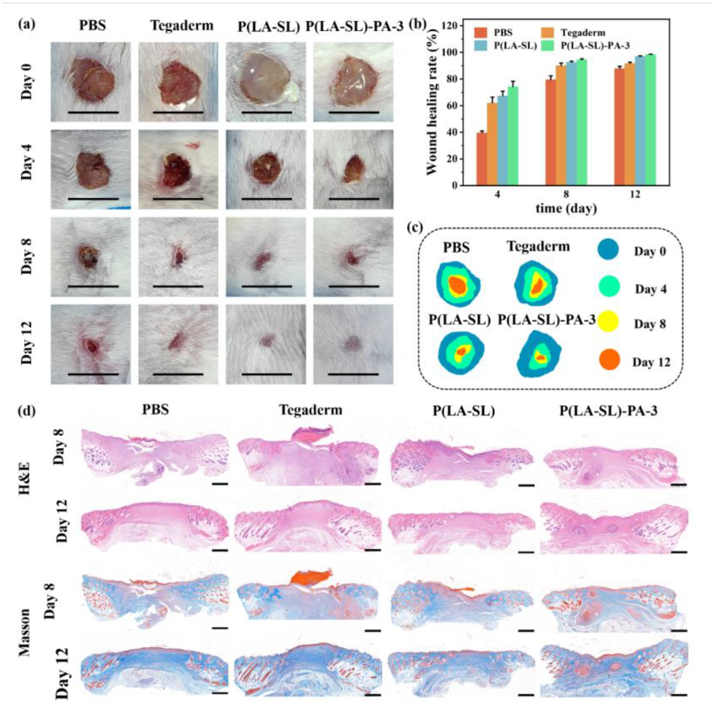 Polymers 16 01316 g007