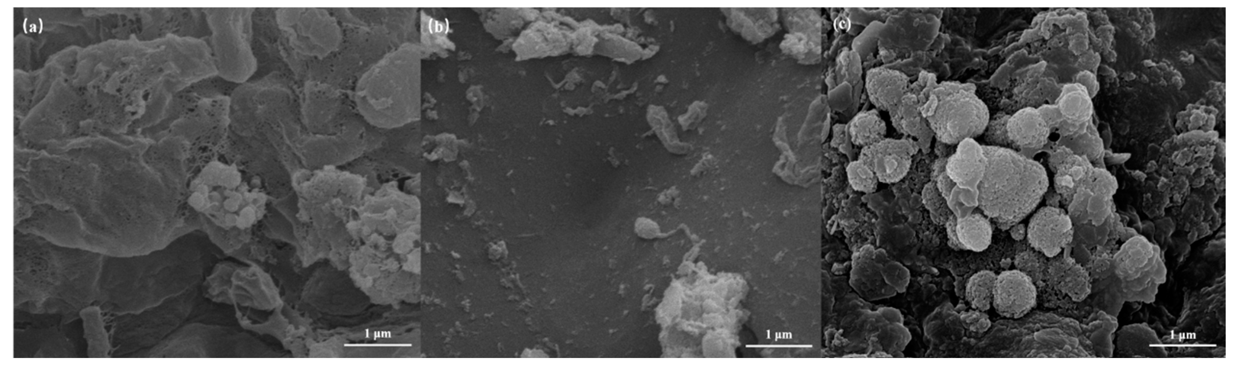 Polymers 16 01329 g006