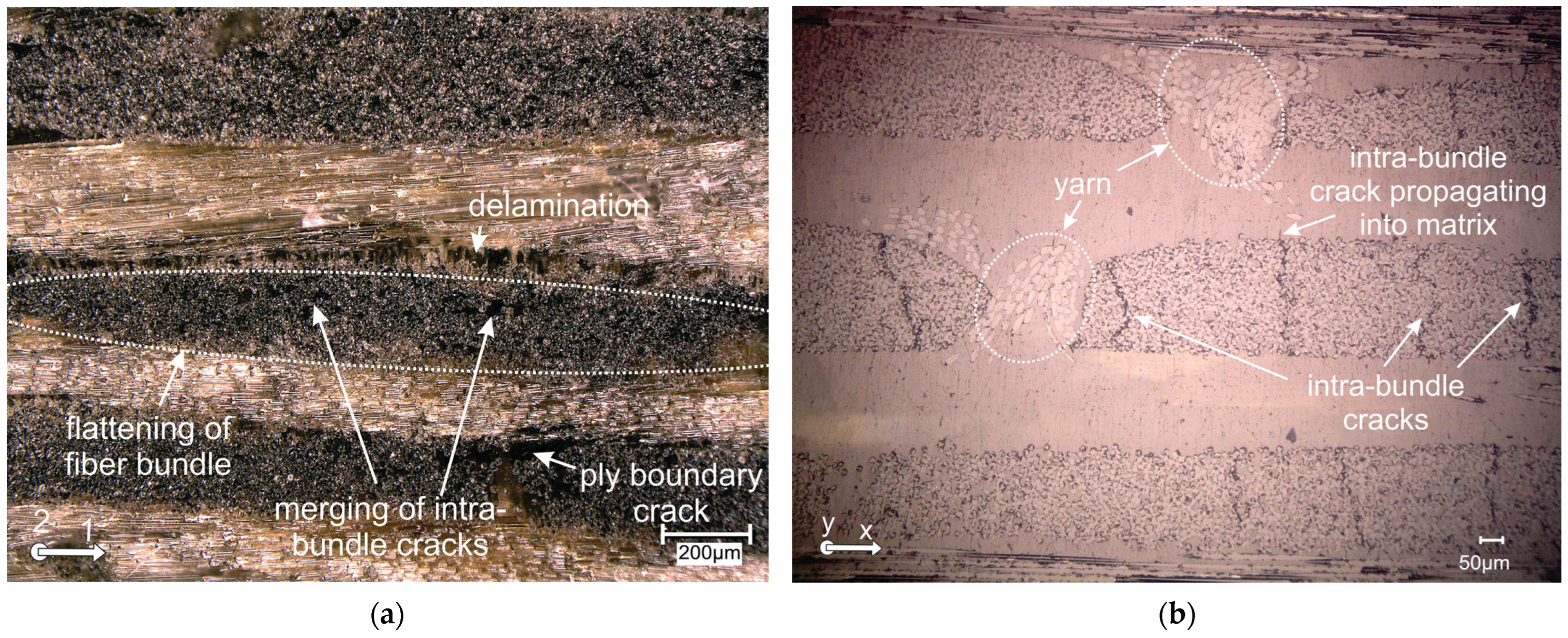 Polymers 16 01331 g008