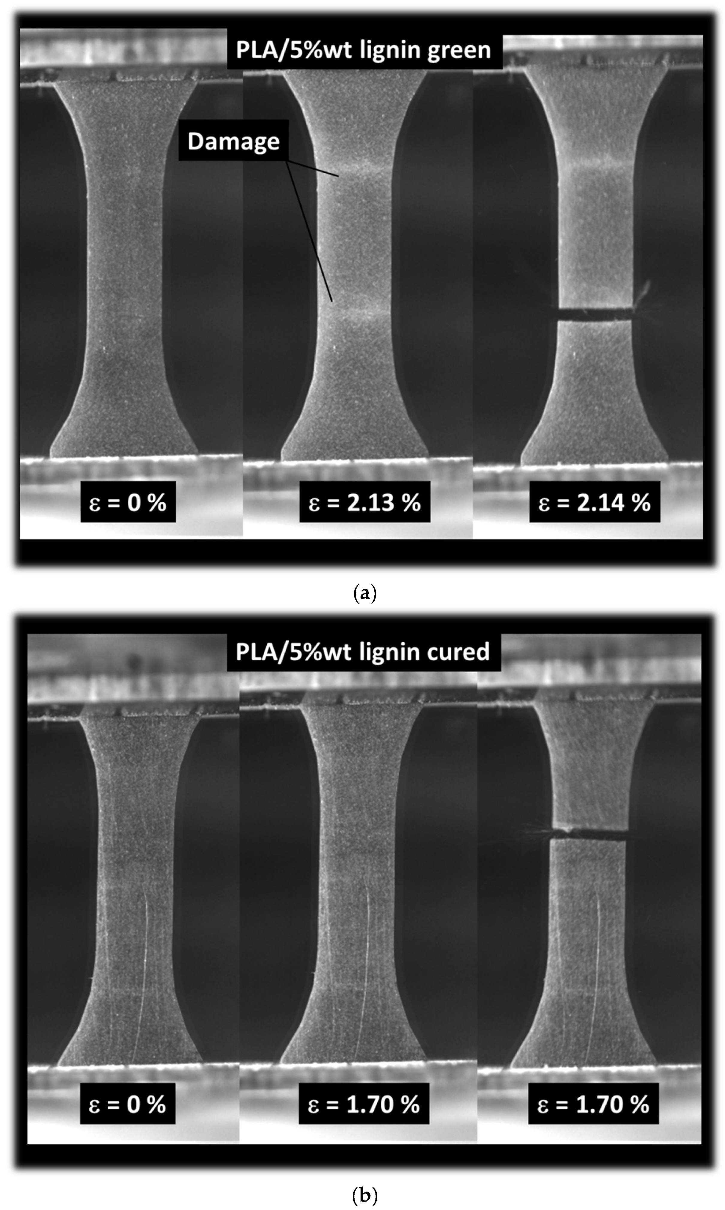 Polymers 16 01342 g008