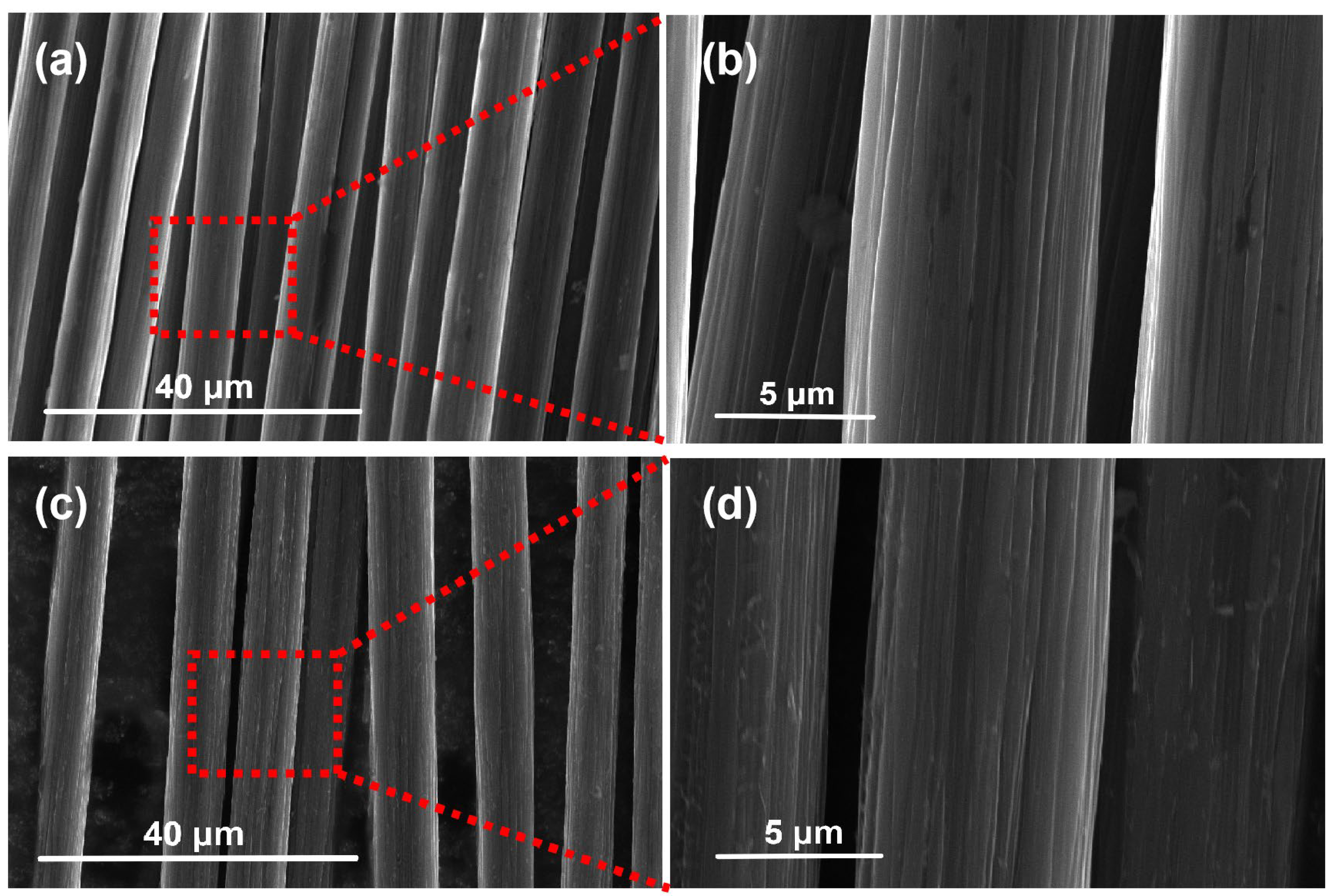 Polymers 16 01383 g002