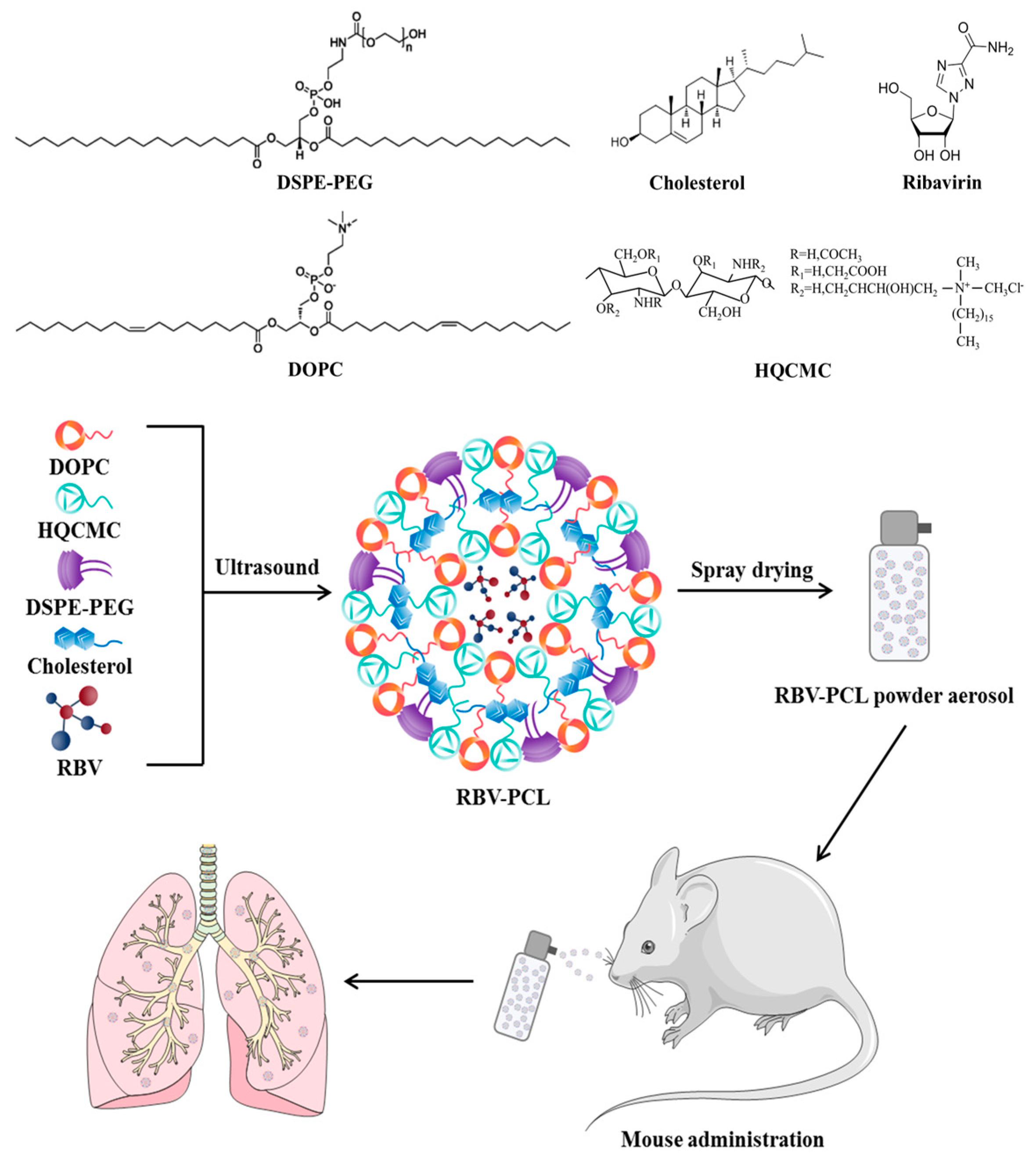 Polymers 16 01384 g001