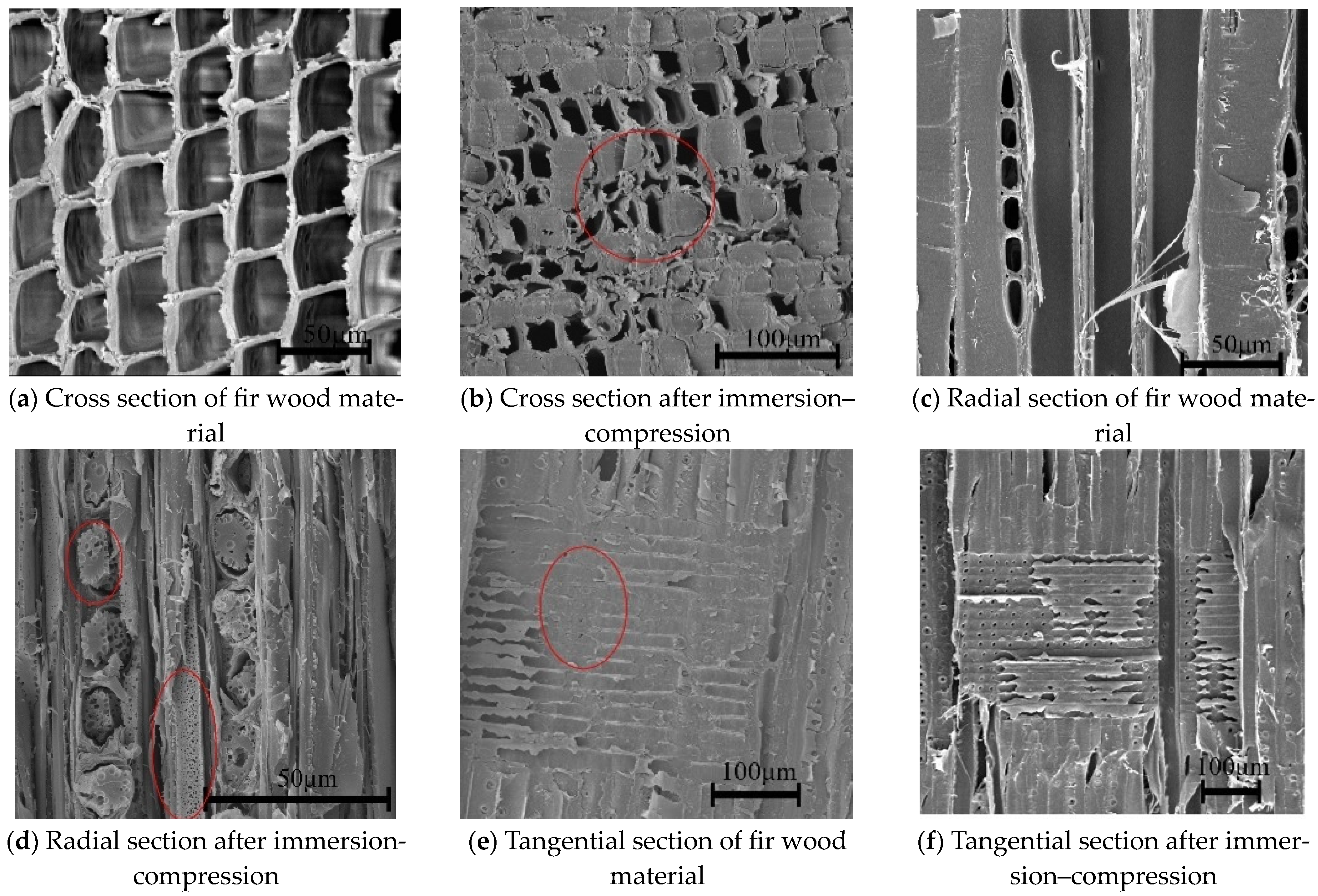Polymers 16 01385 g002
