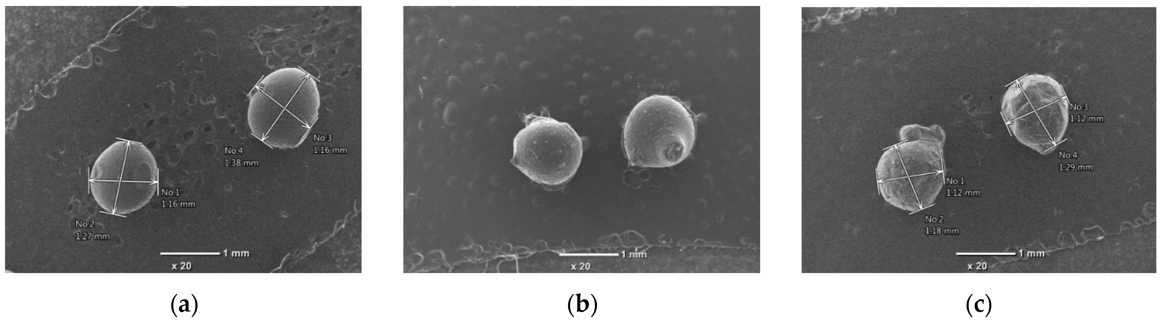 Polymers 16 01399 g002