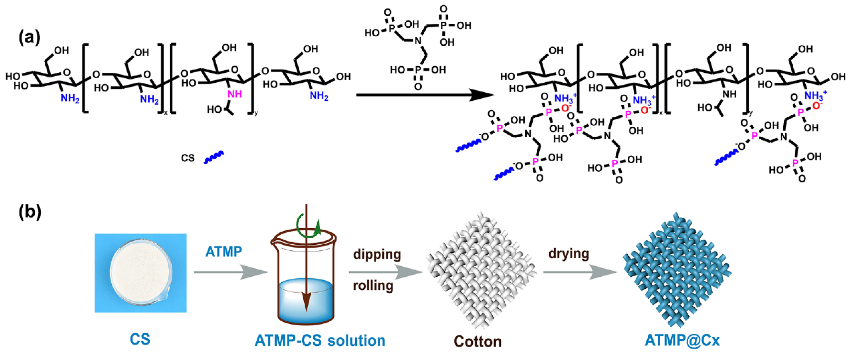 Polymers 16 01409 g001
