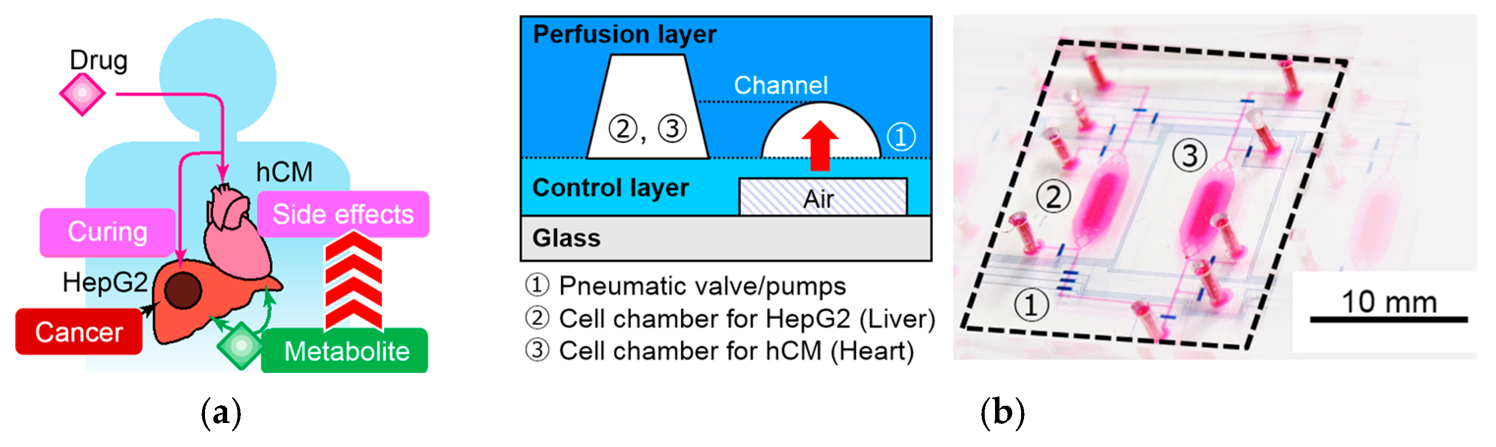 Proceedings 01 00302 g001