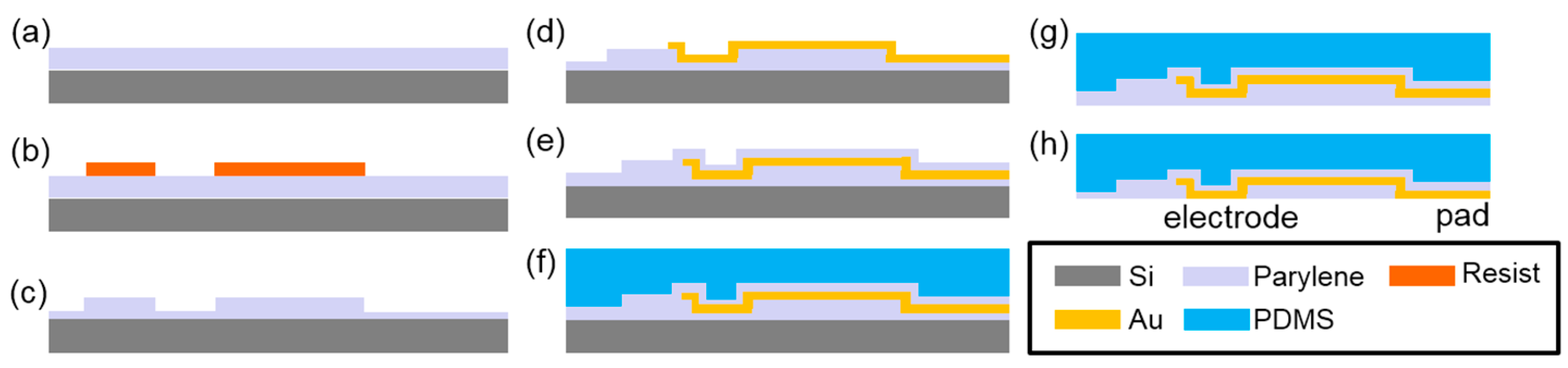 Proceedings 01 00302 g003