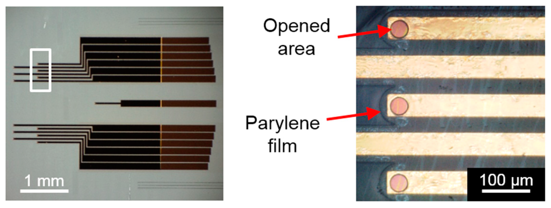 Proceedings 01 00302 g005