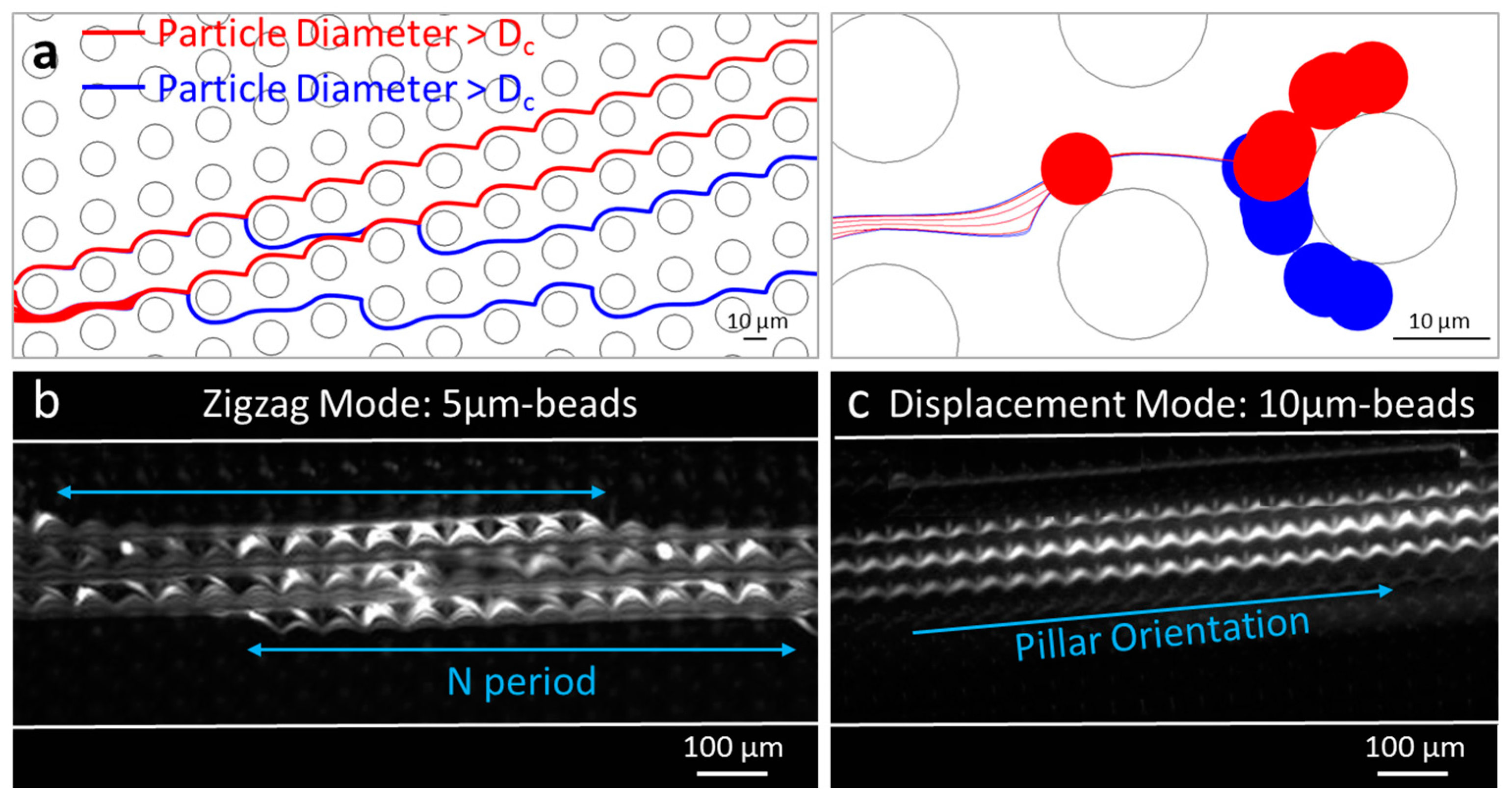 Proceedings 01 00313 g001
