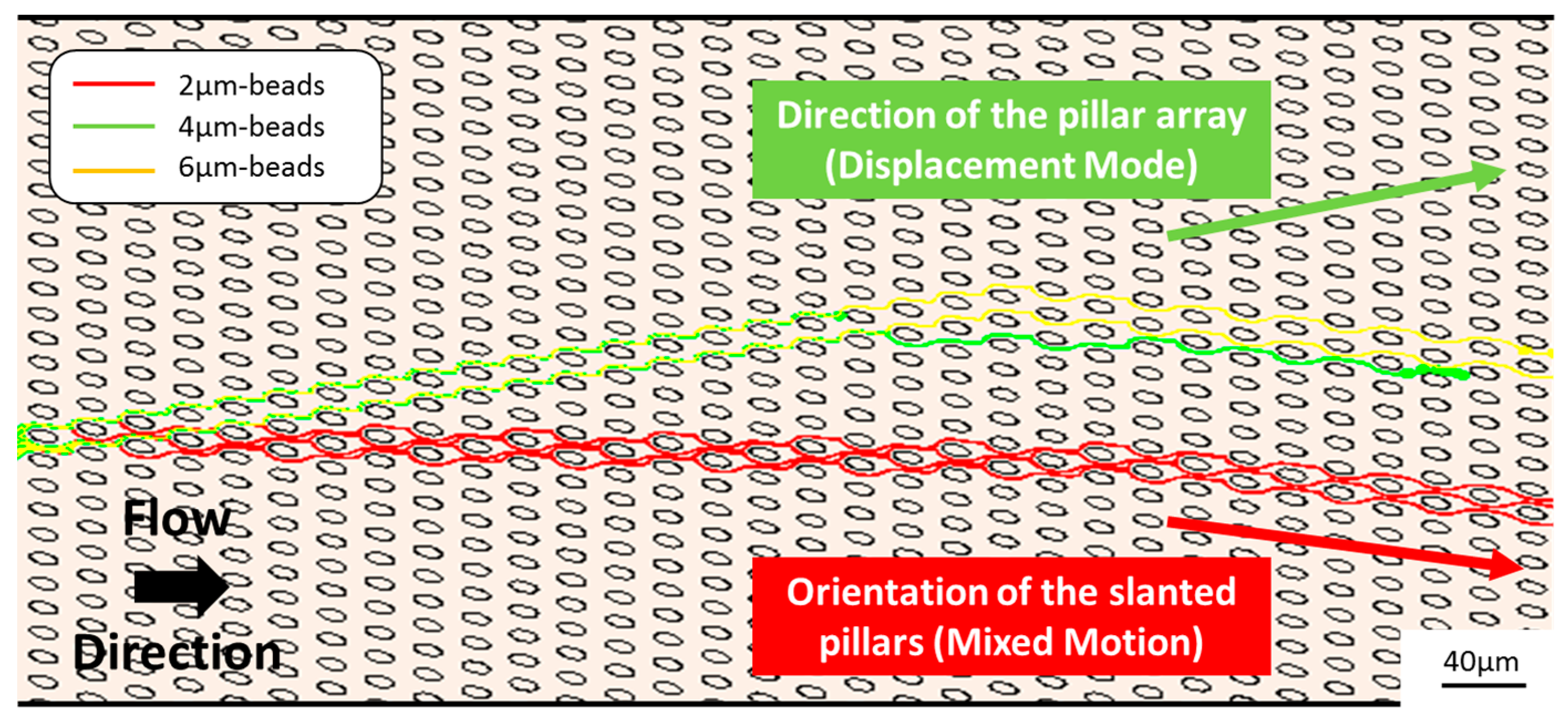 Proceedings 01 00313 g002