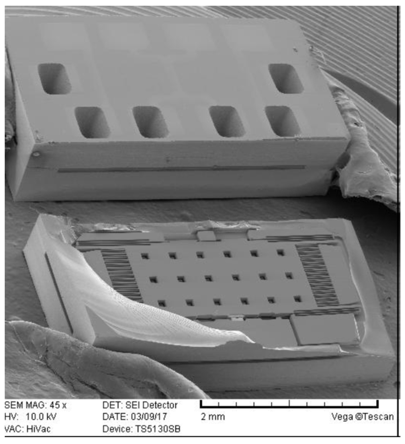 Proceedings 01 00343 g004