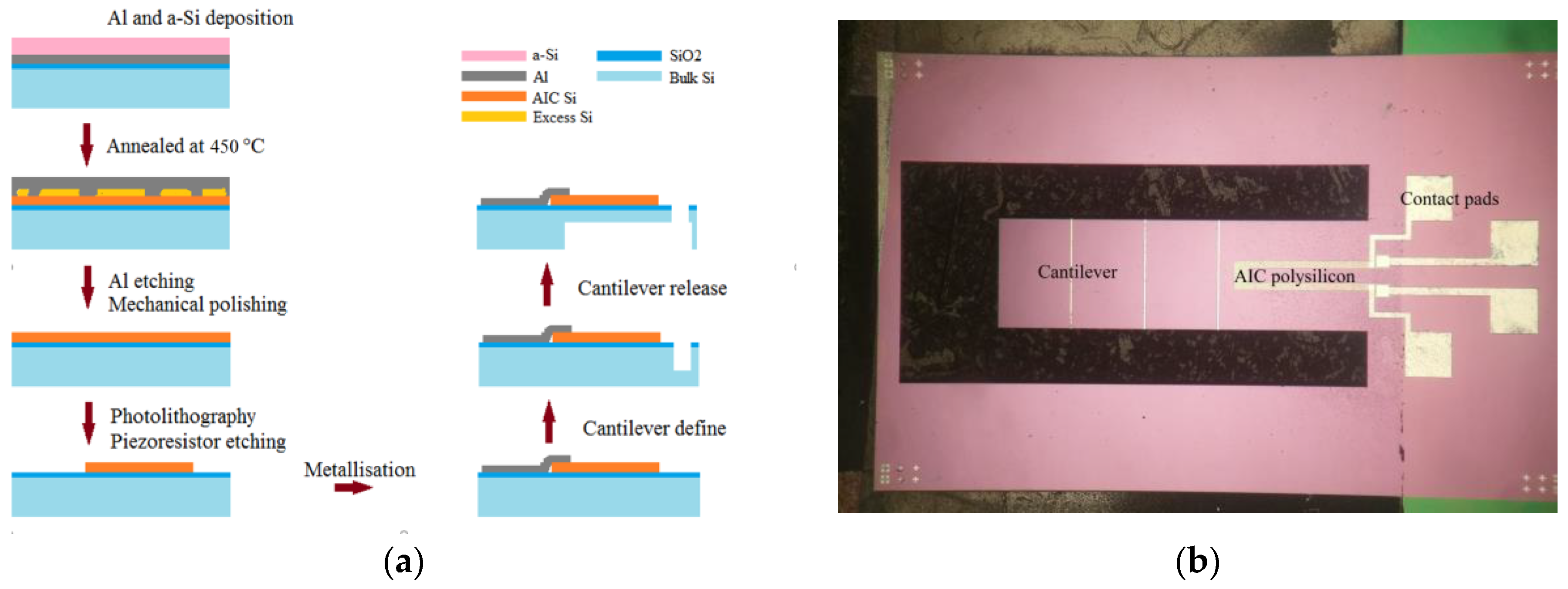 Proceedings 01 00354 g001