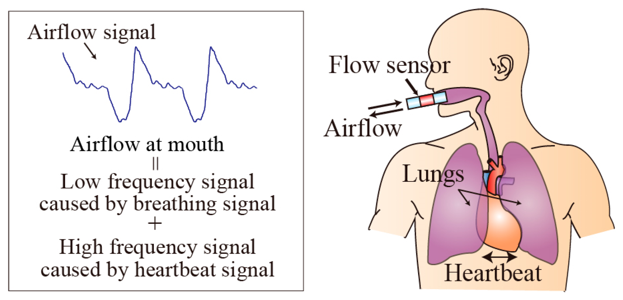 Proceedings 01 00359 g001
