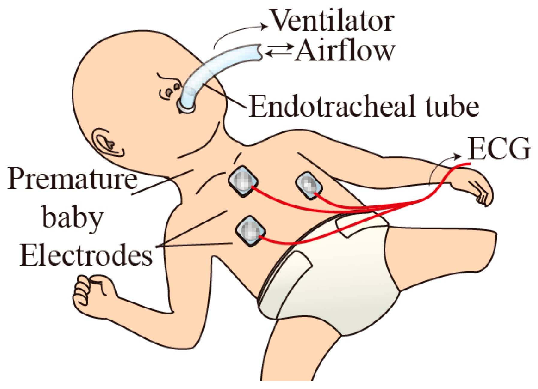 Proceedings 01 00359 g002