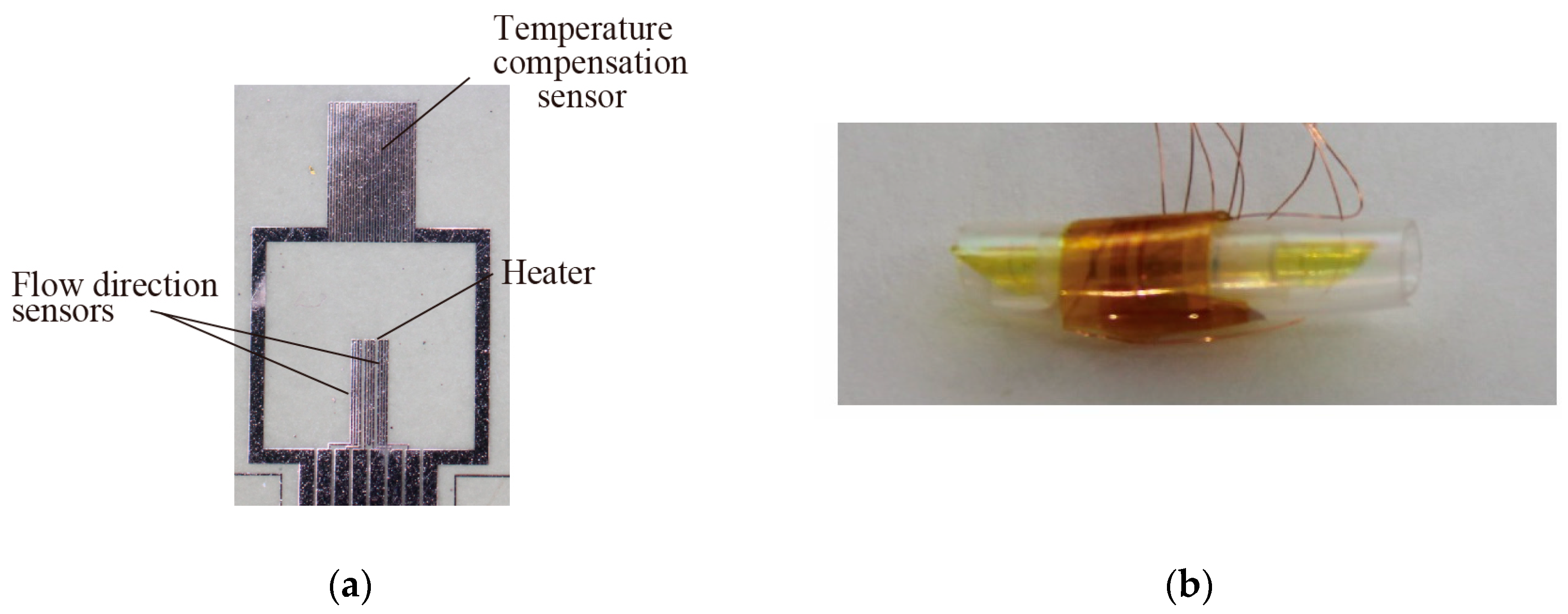 Proceedings 01 00359 g004