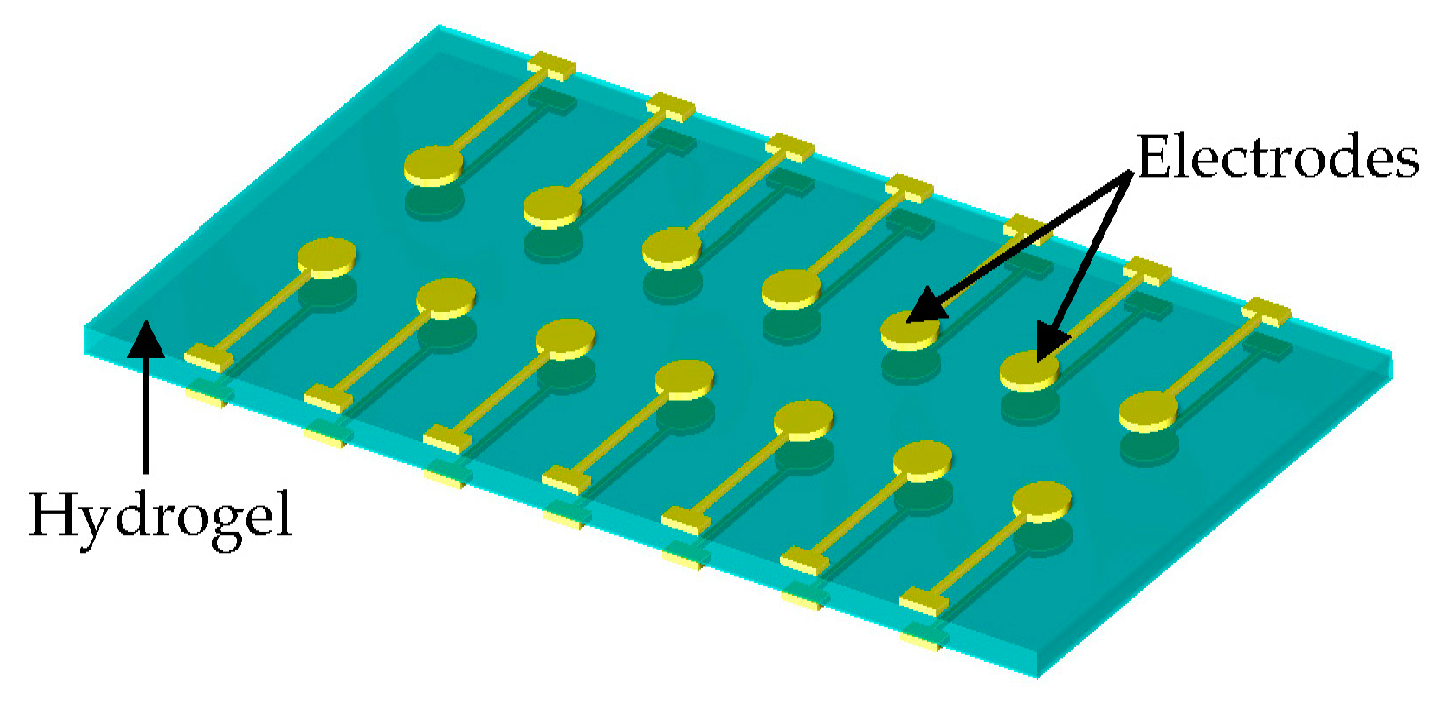 Proceedings 01 00360 g005