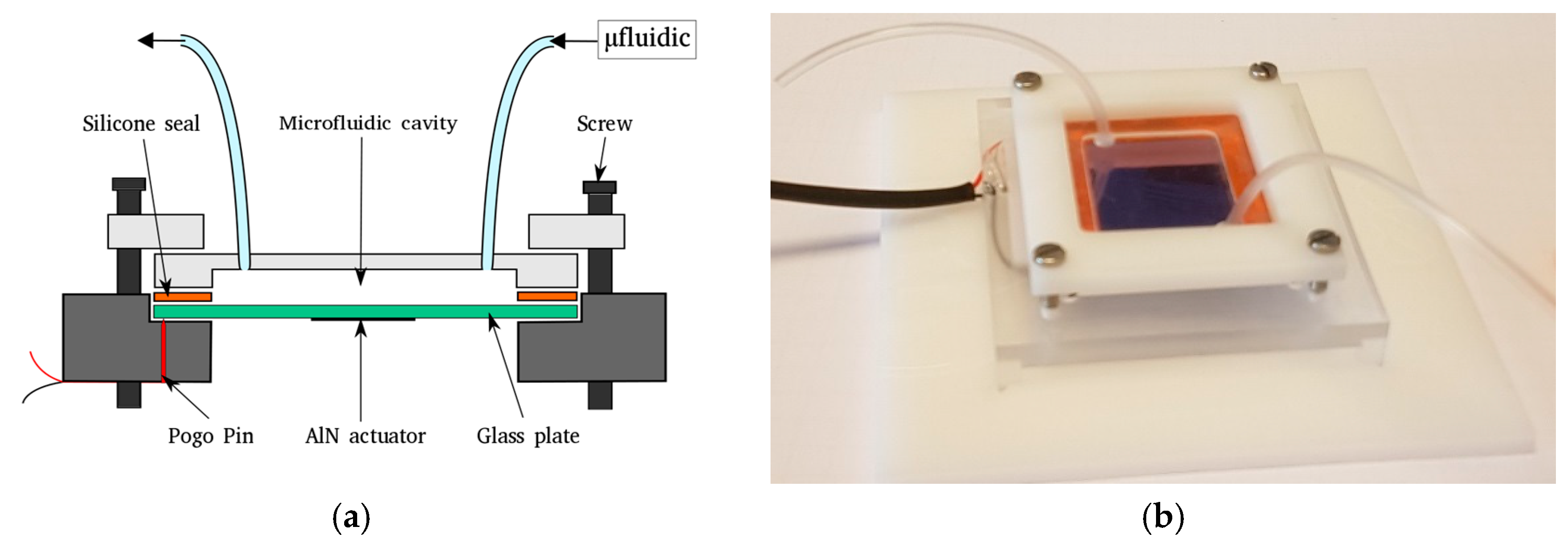 Proceedings 01 00386 g002