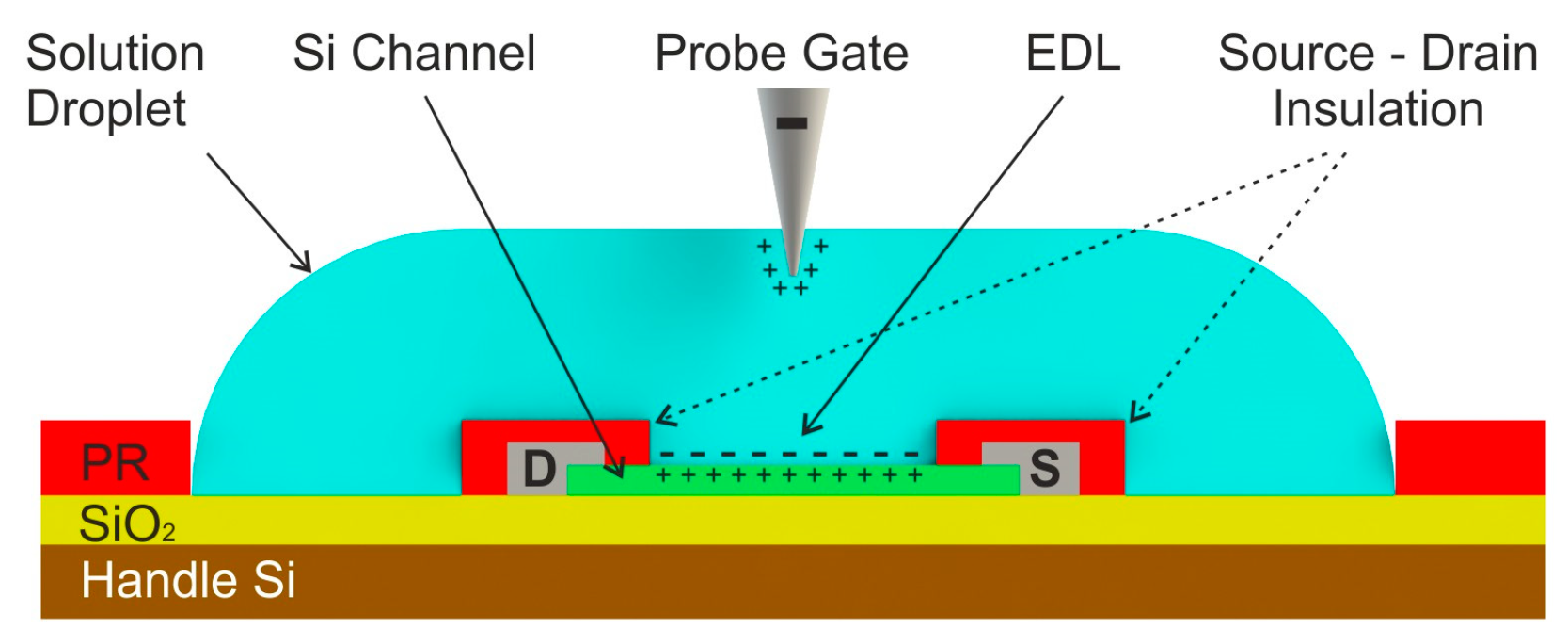 Proceedings 01 00486 g001