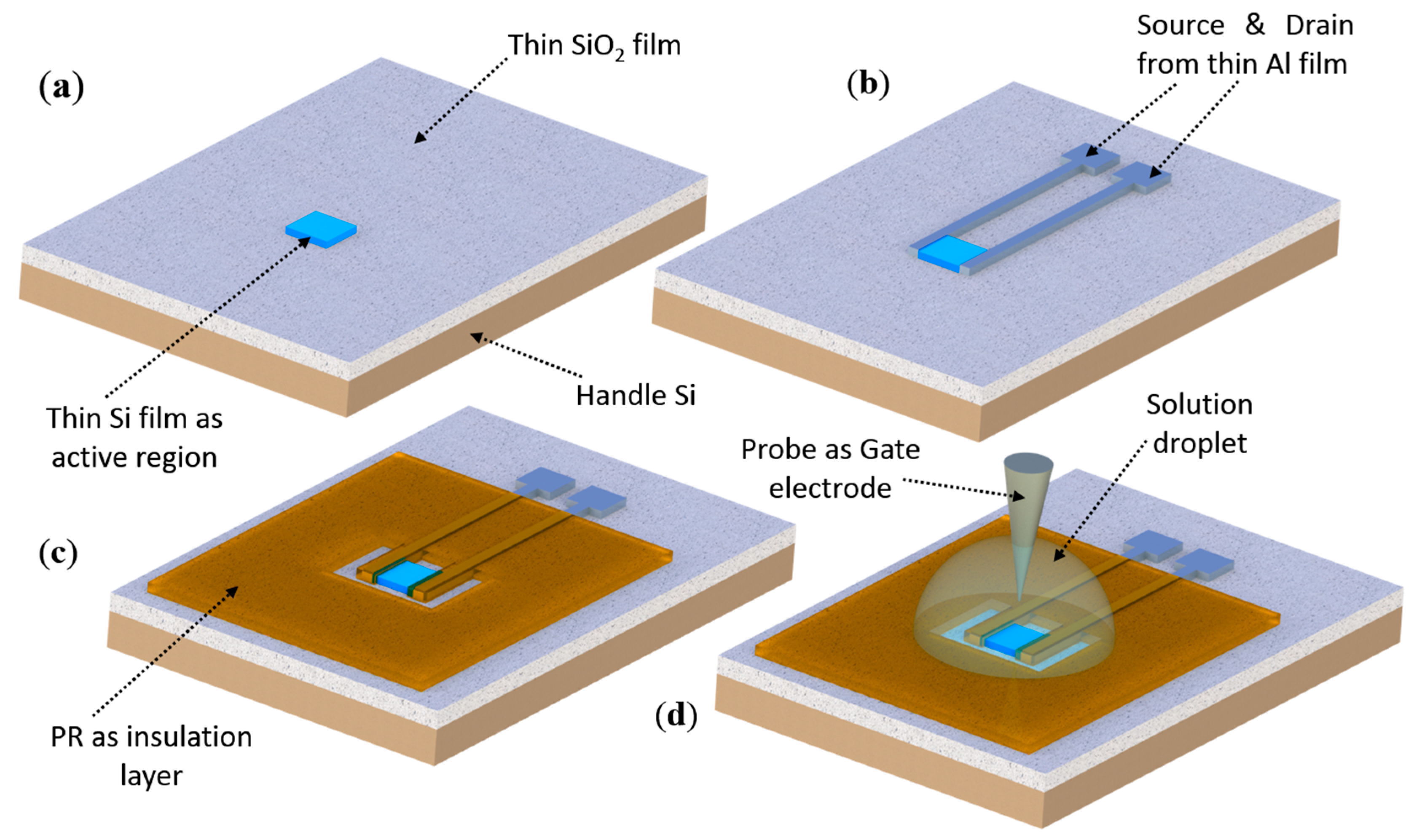 Proceedings 01 00486 g002