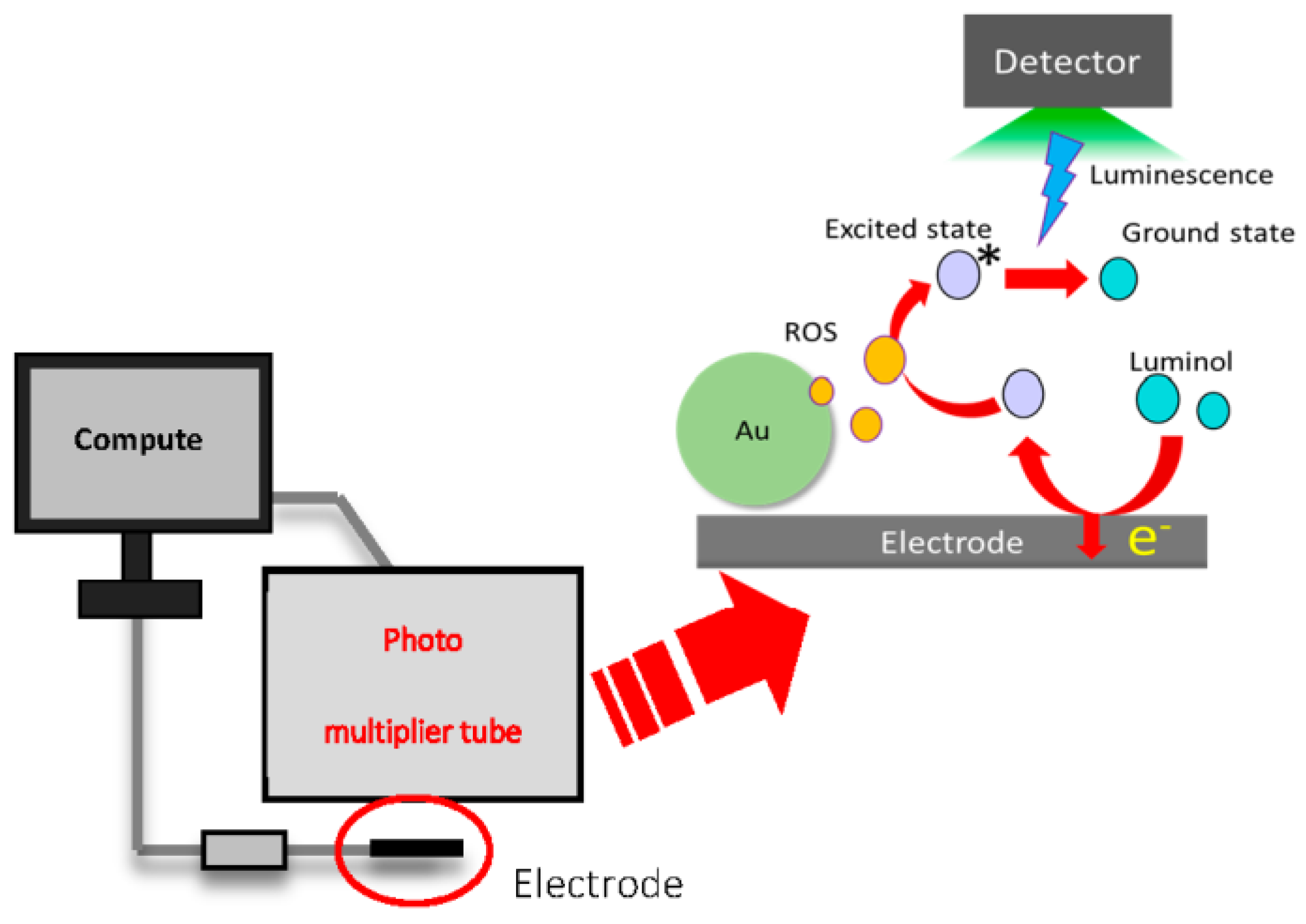Proceedings 01 00500 g001