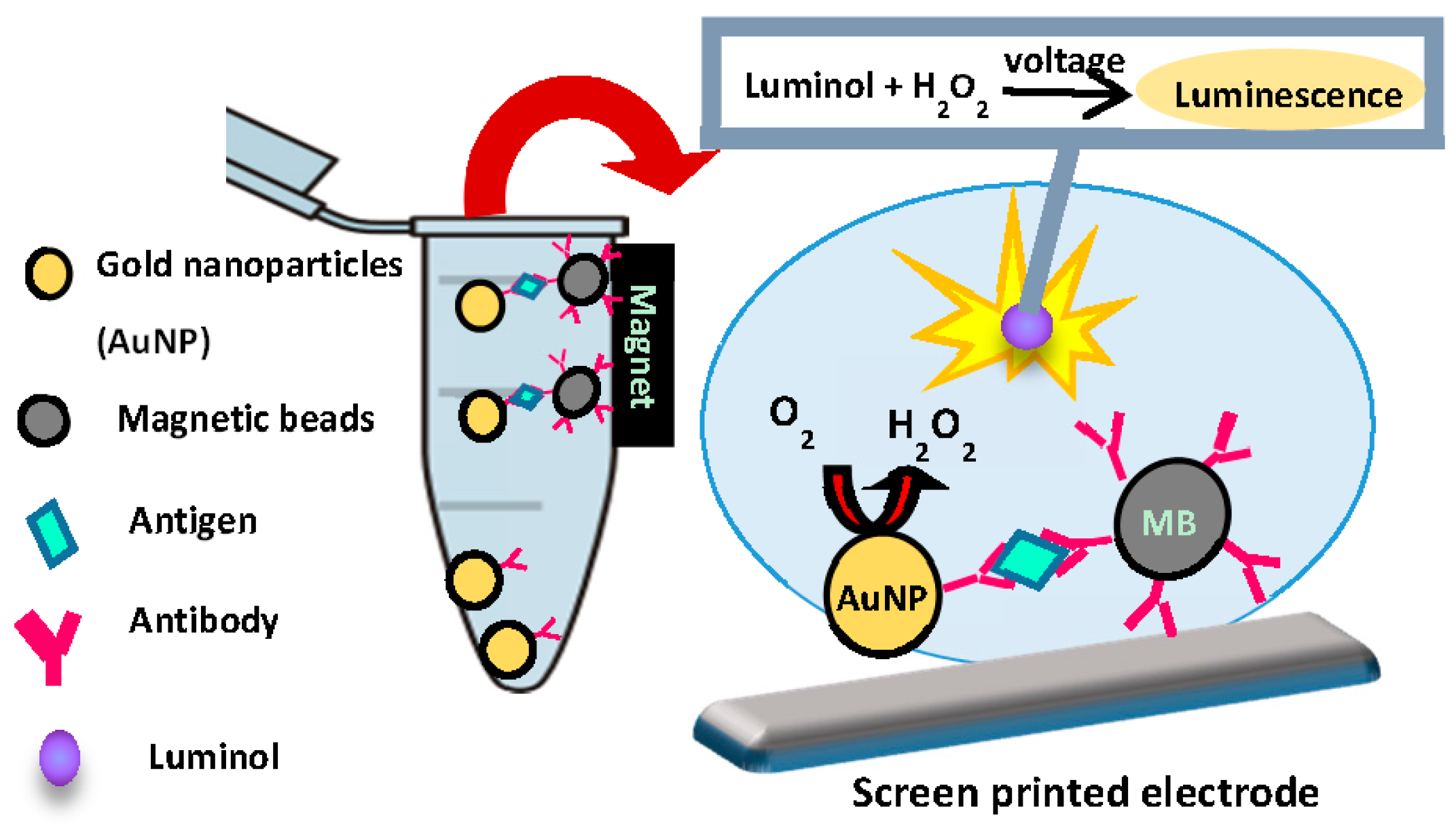 Proceedings 01 00500 g002