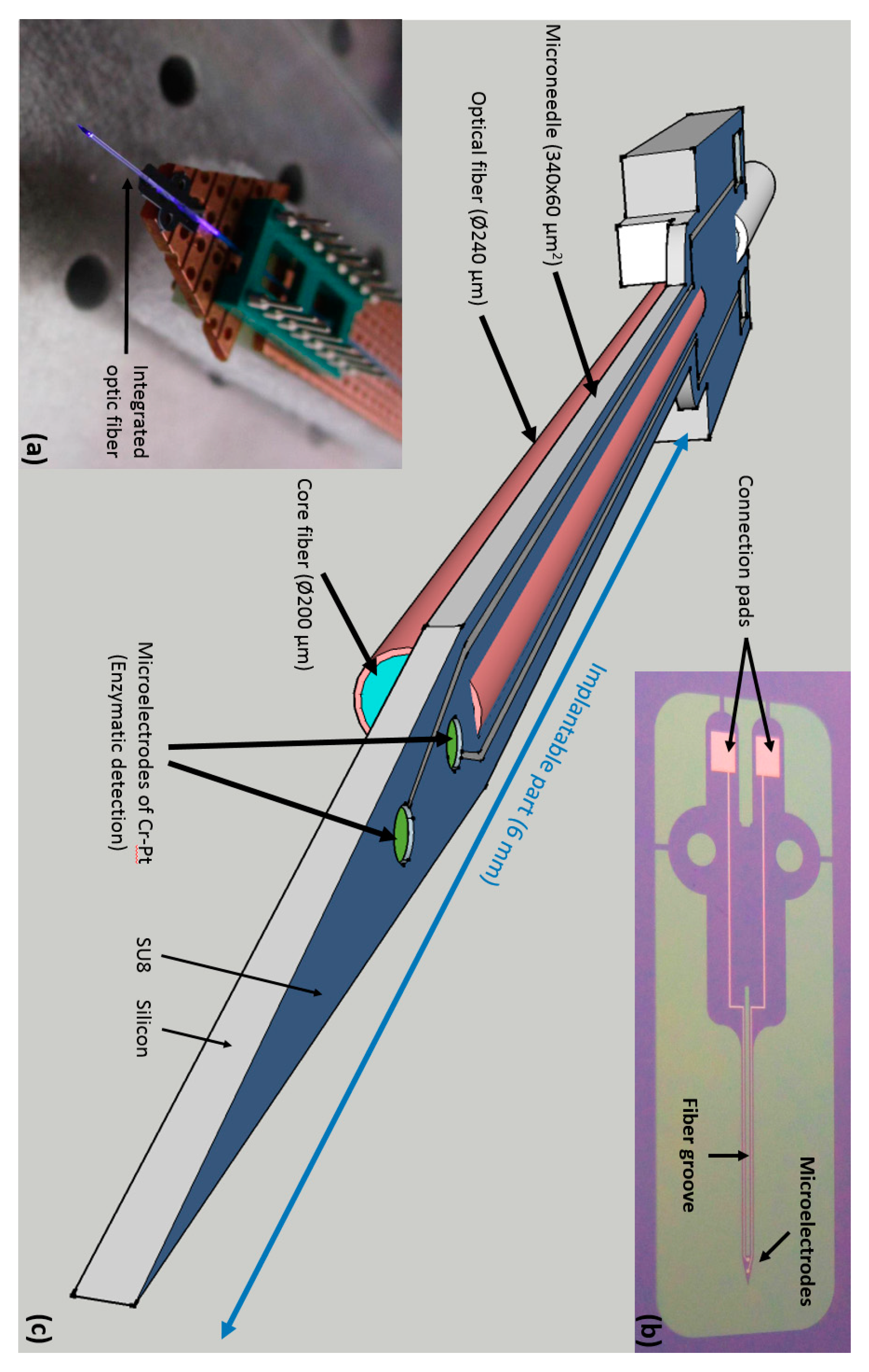 Proceedings 01 00502 g001