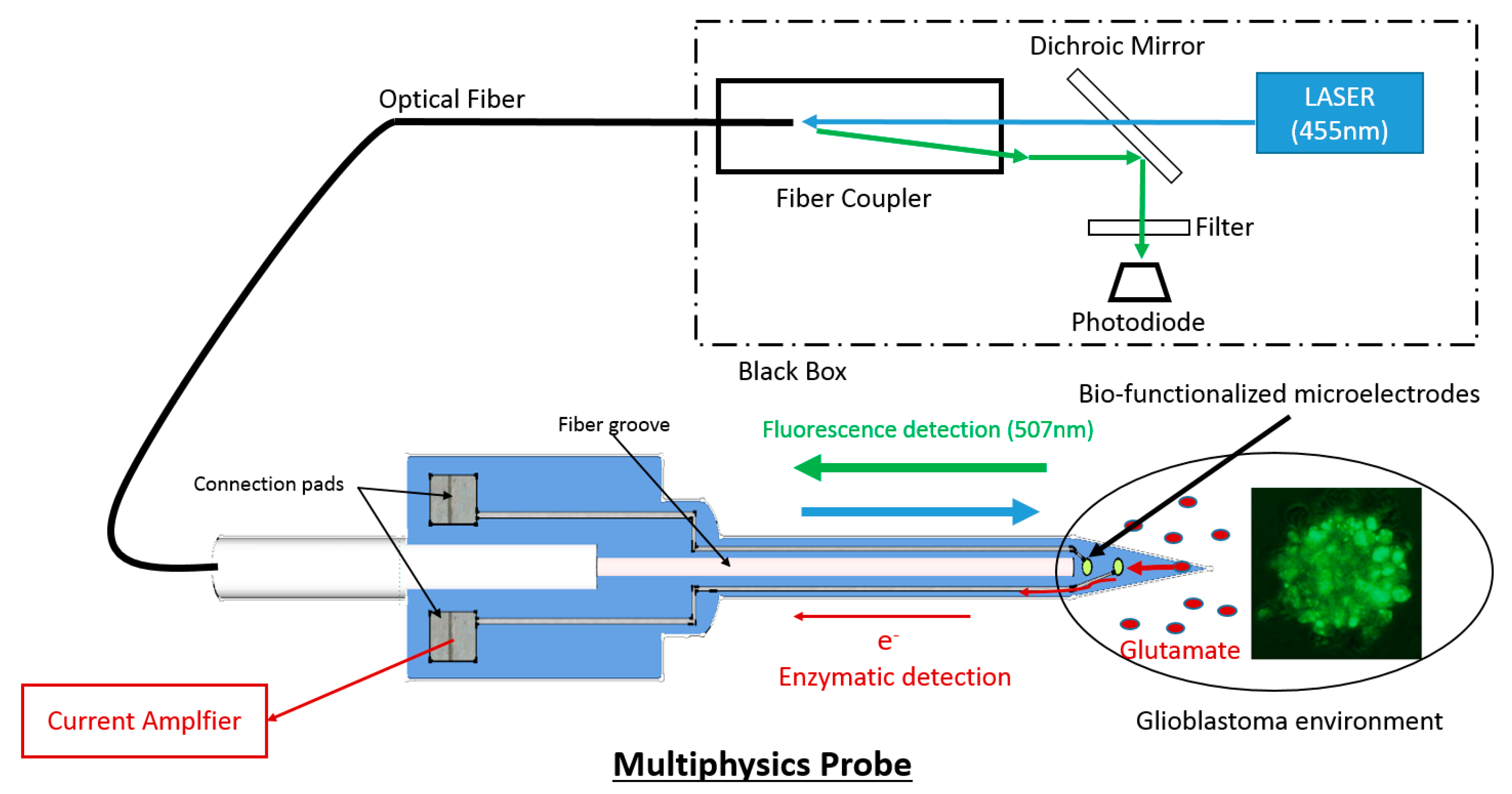 Proceedings 01 00502 g002