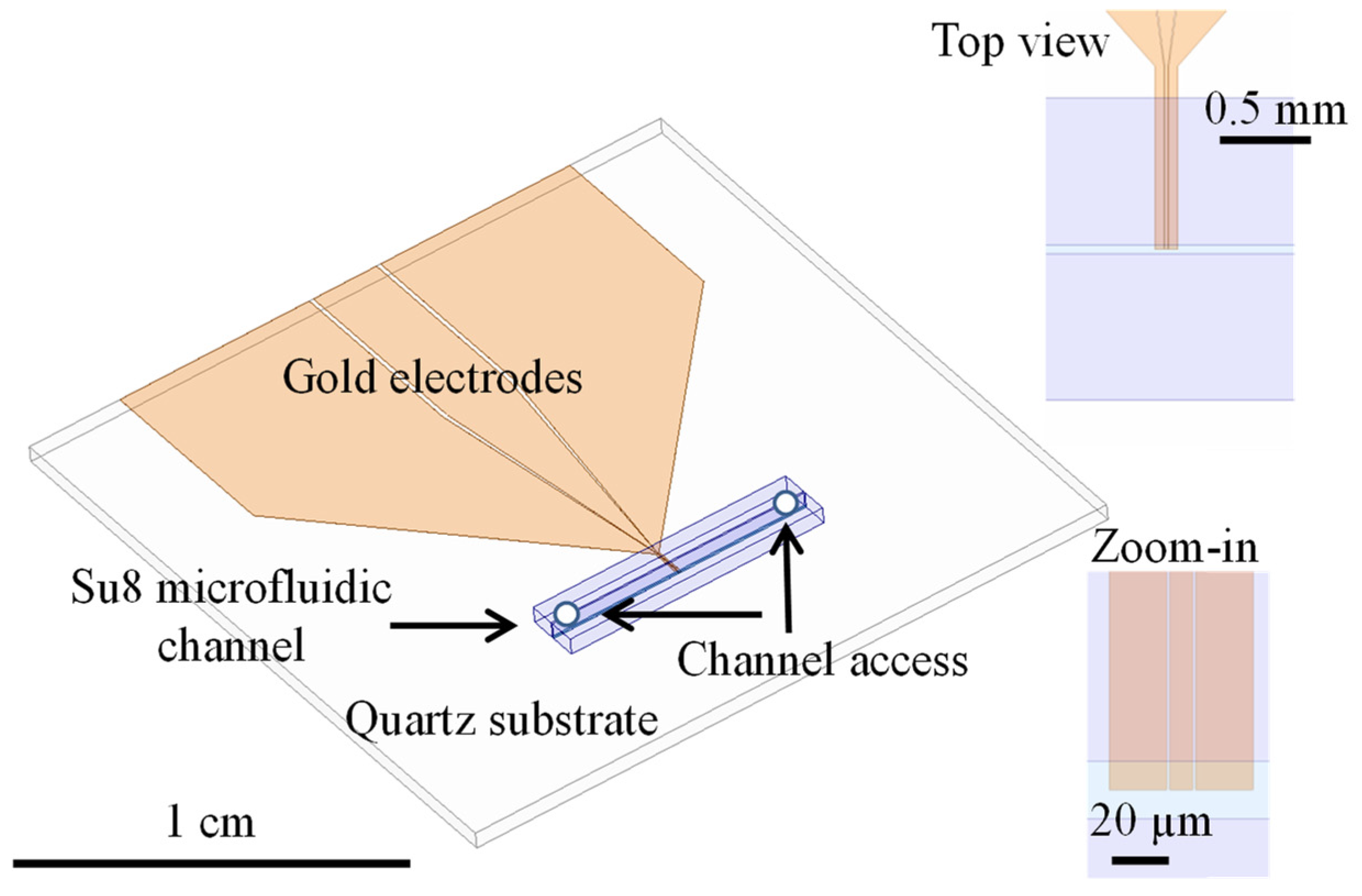Proceedings 01 00523 g001
