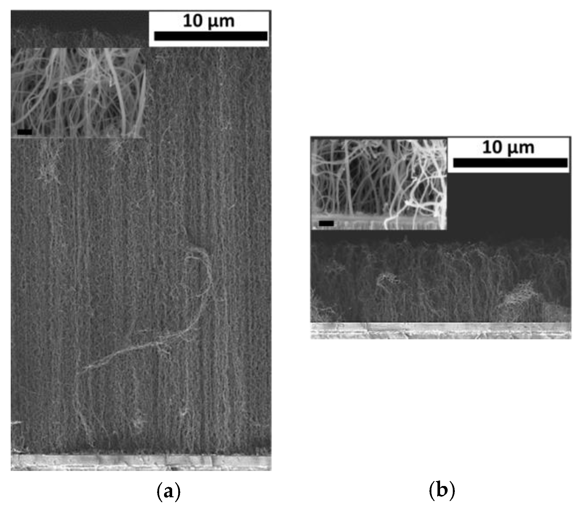 Proceedings 01 00537 g003