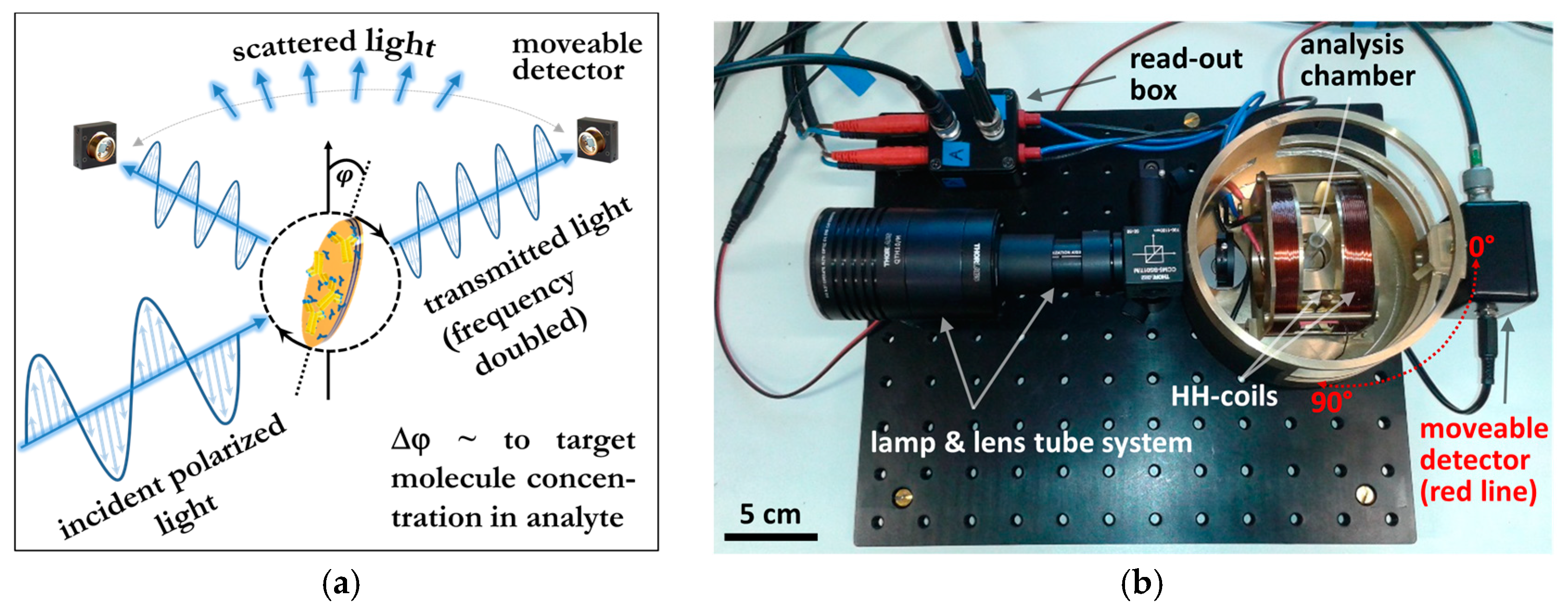 Proceedings 01 00541 g001