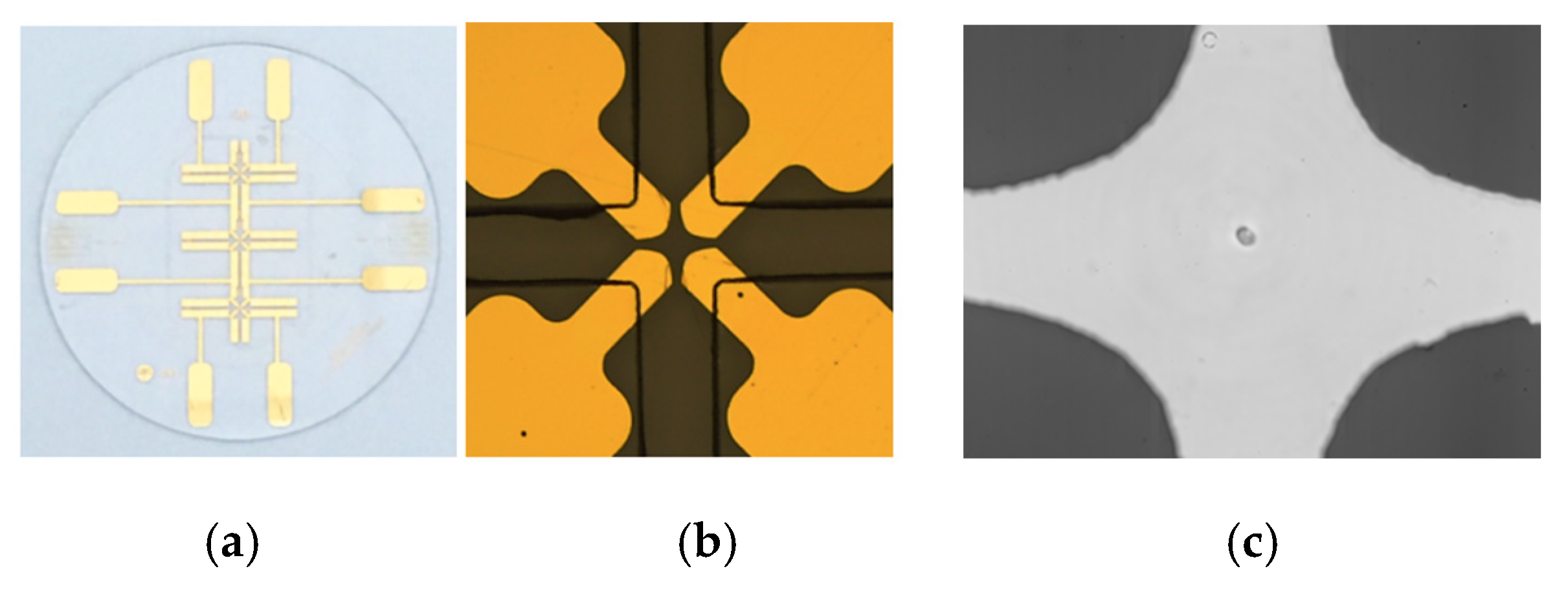 Proceedings 01 00543 g001