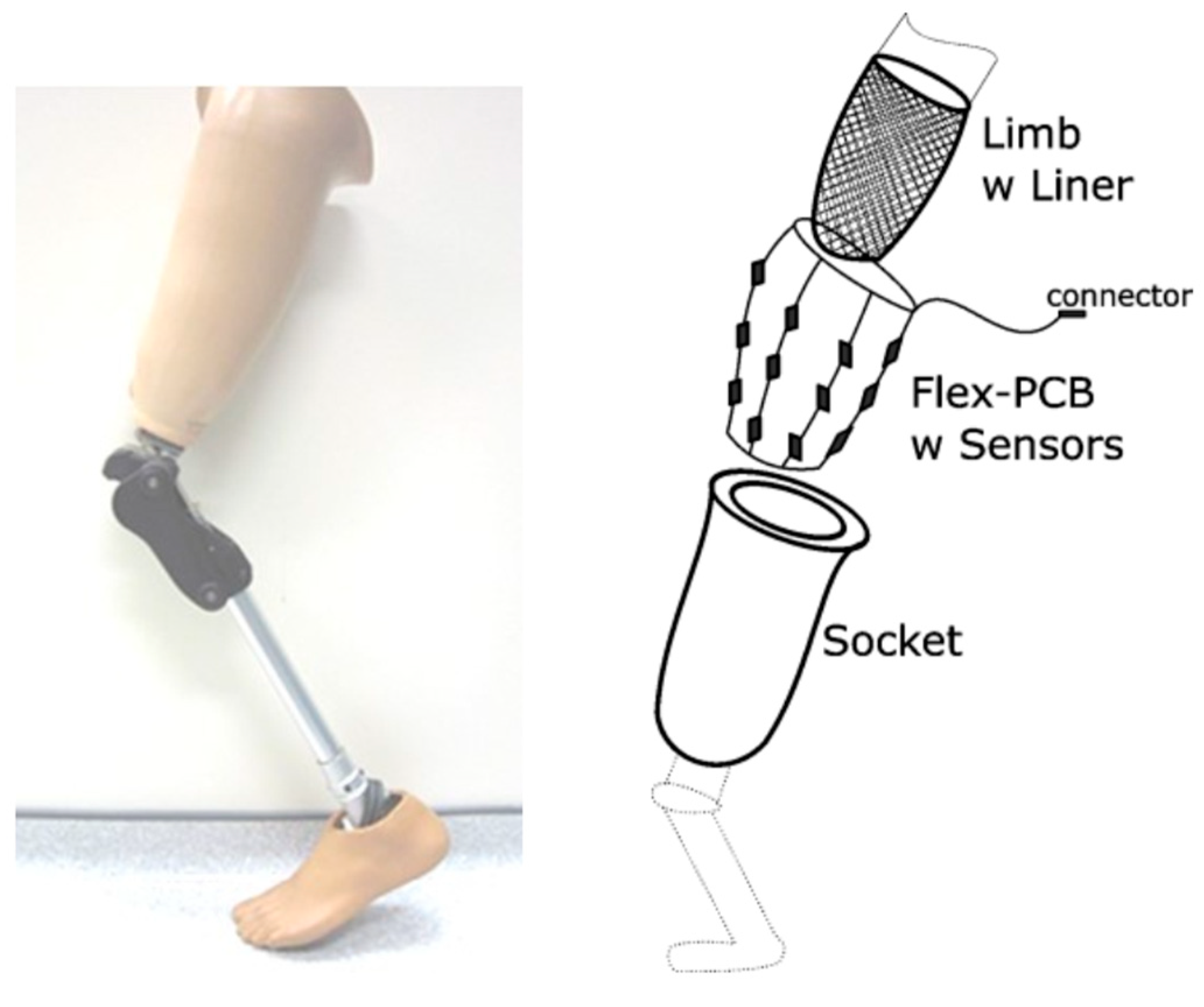Proceedings 01 00593 g001