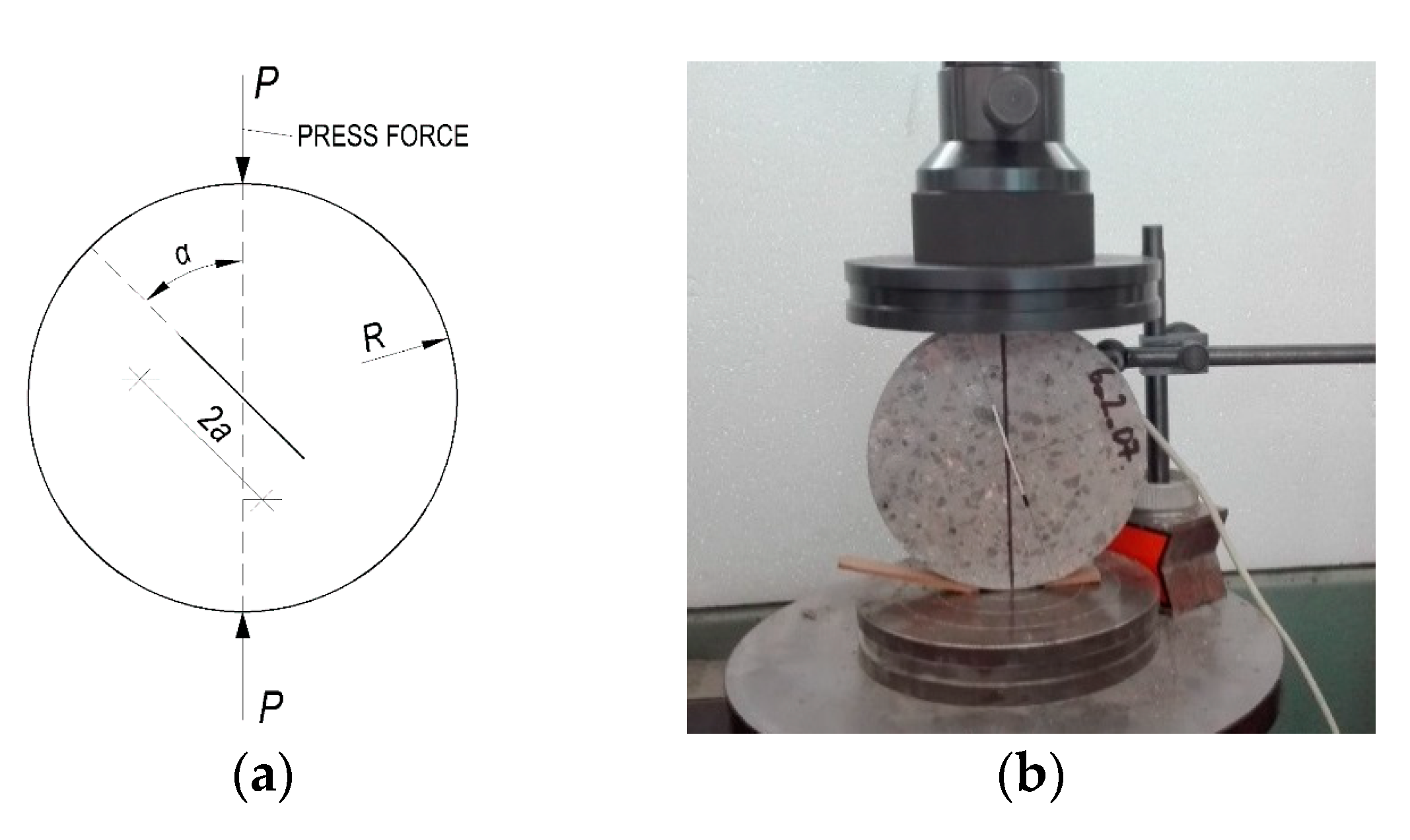 Proceedings 02 00399 g001