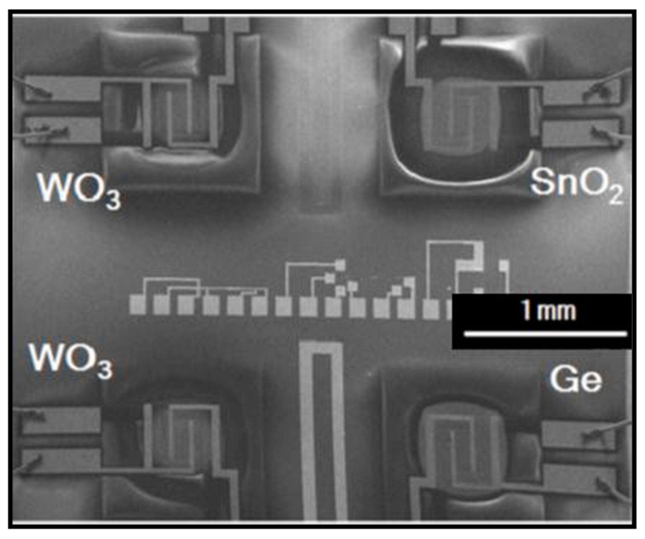 Proceedings 02 00957 g001