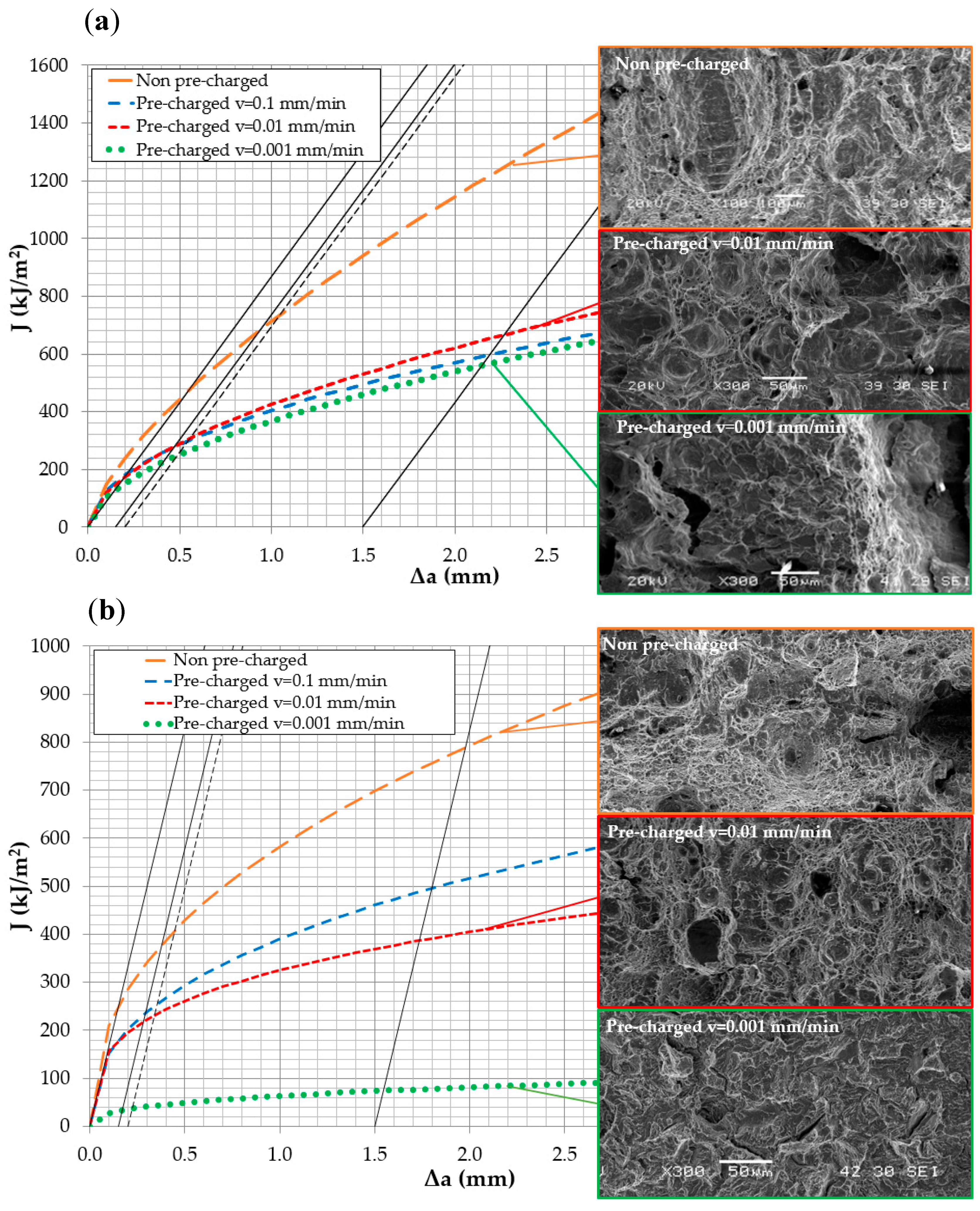 Proceedings 02 01417 g002
