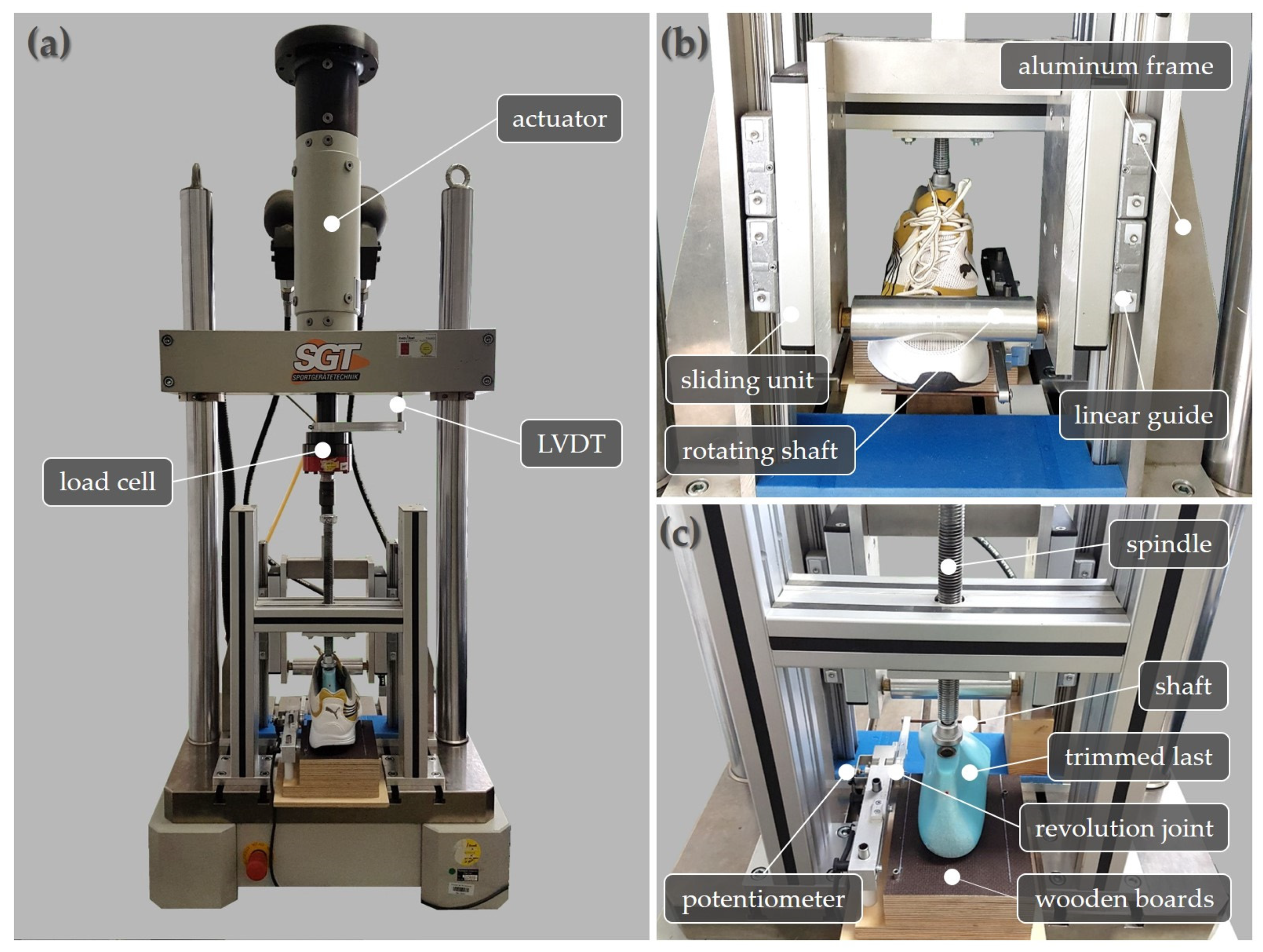 Proceedings 49 00122 g001