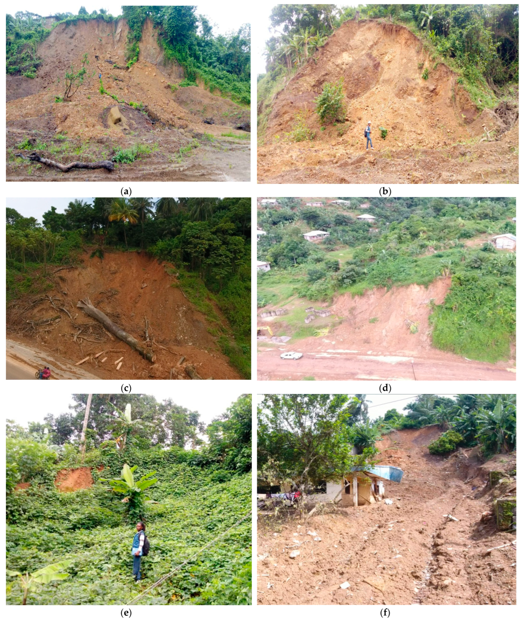 Proceedings 87 00006 g003