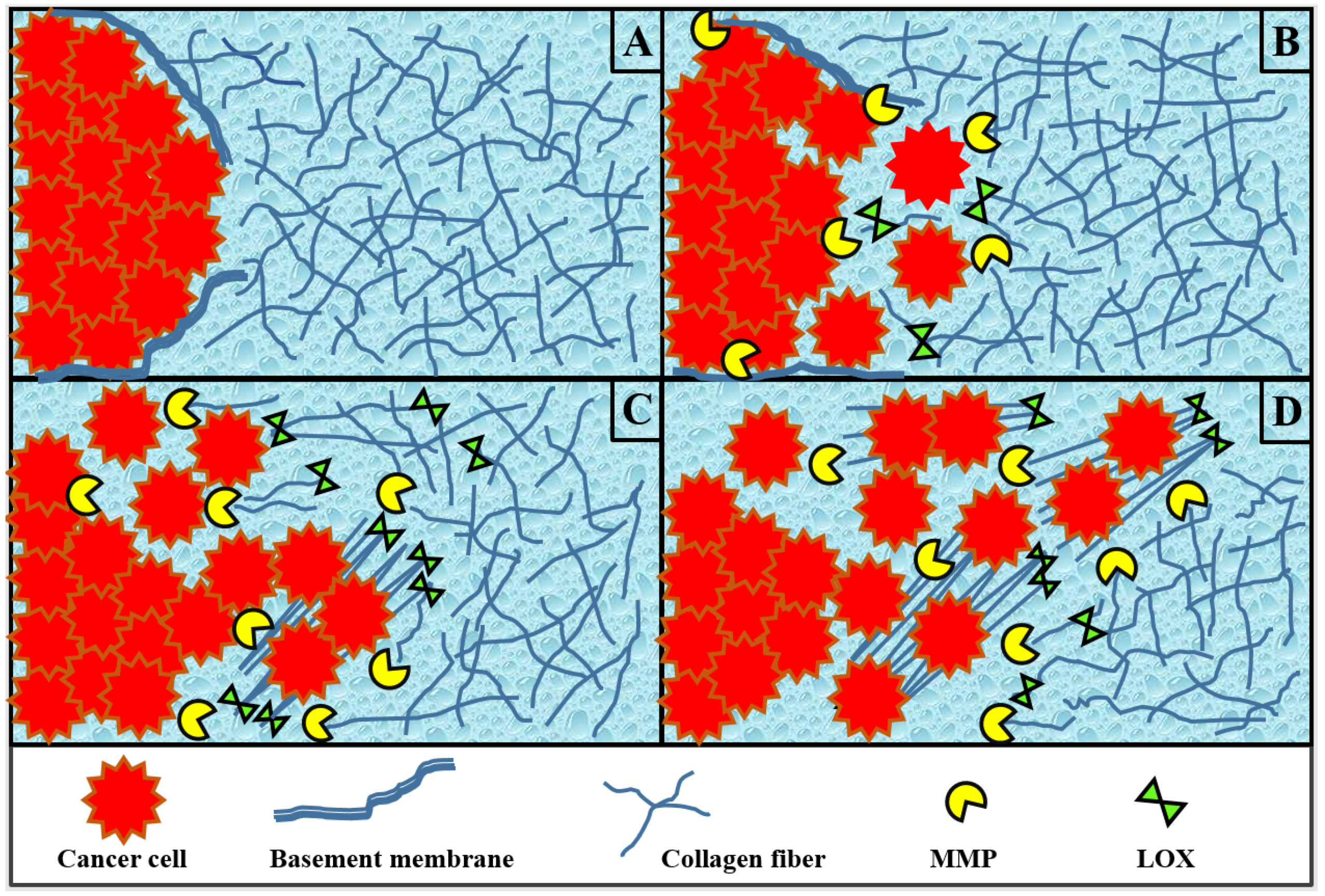 Processes 06 00058 g001