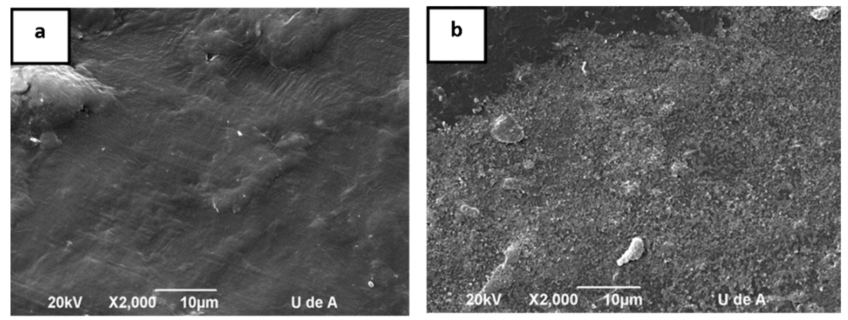 Processes 06 00137 g005
