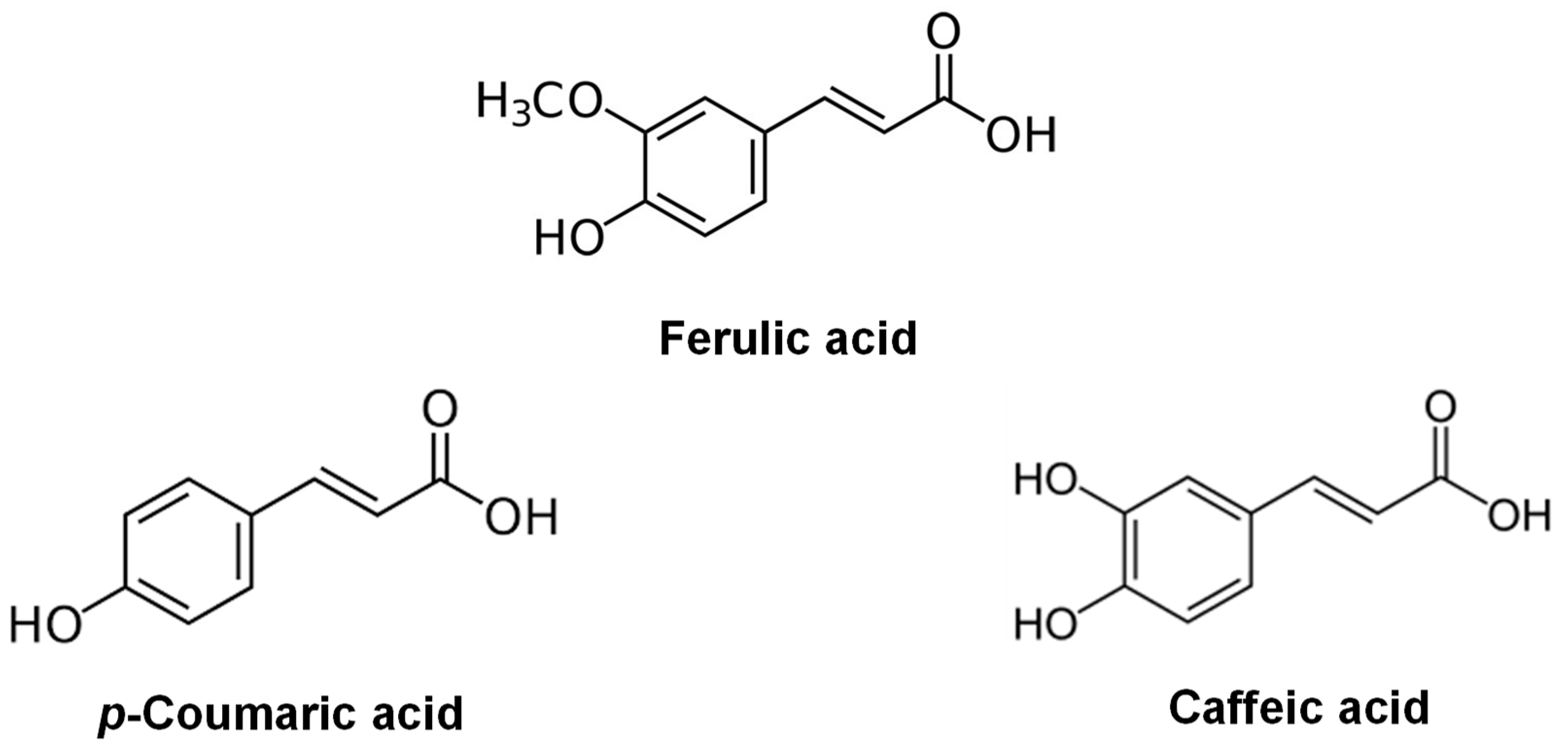 Processes 07 00126 g004