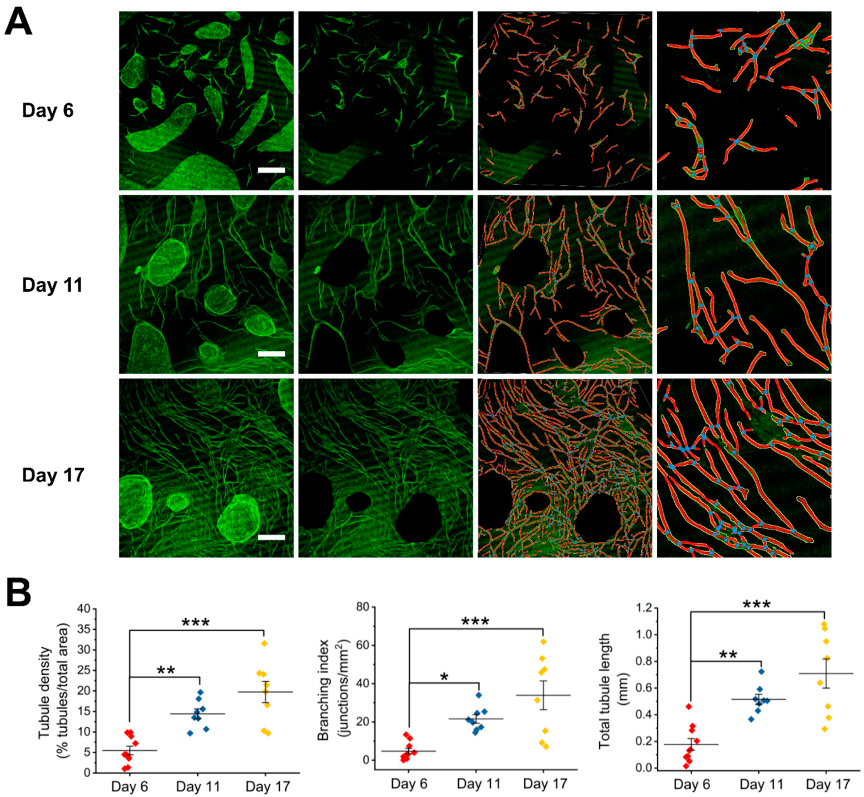 Processes 07 00356 g001