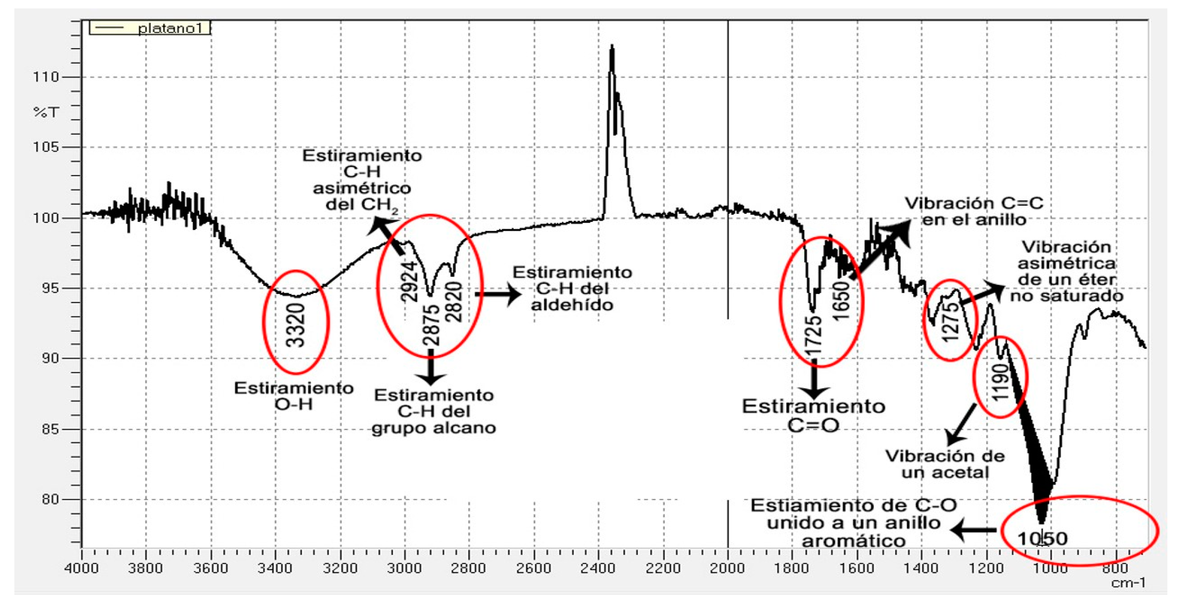 Processes 07 00403 g002