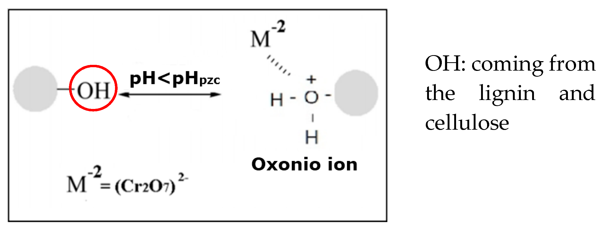 Processes 07 00403 g005
